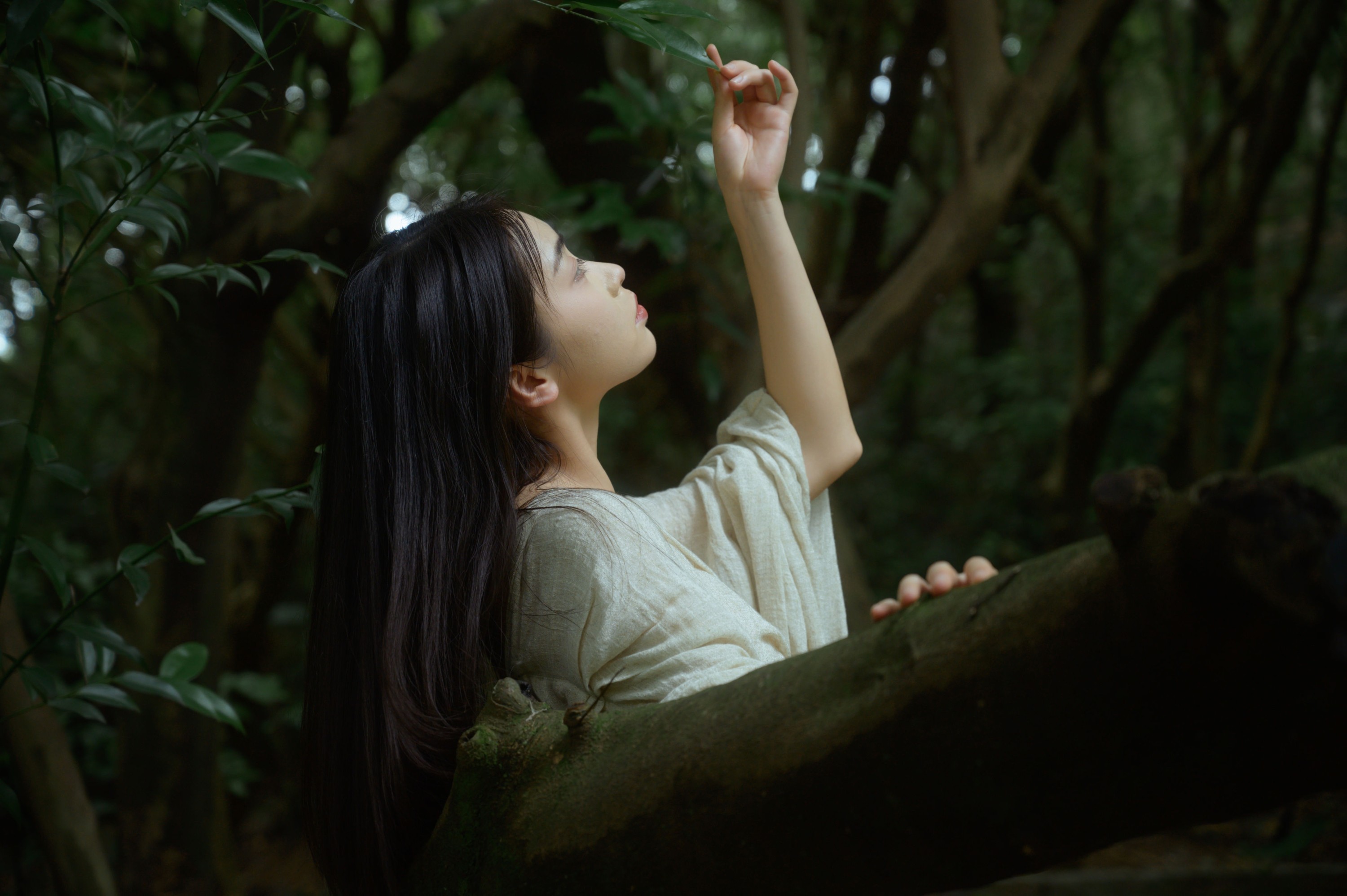 半个月亮 – 《在林中》[22P] 插图4