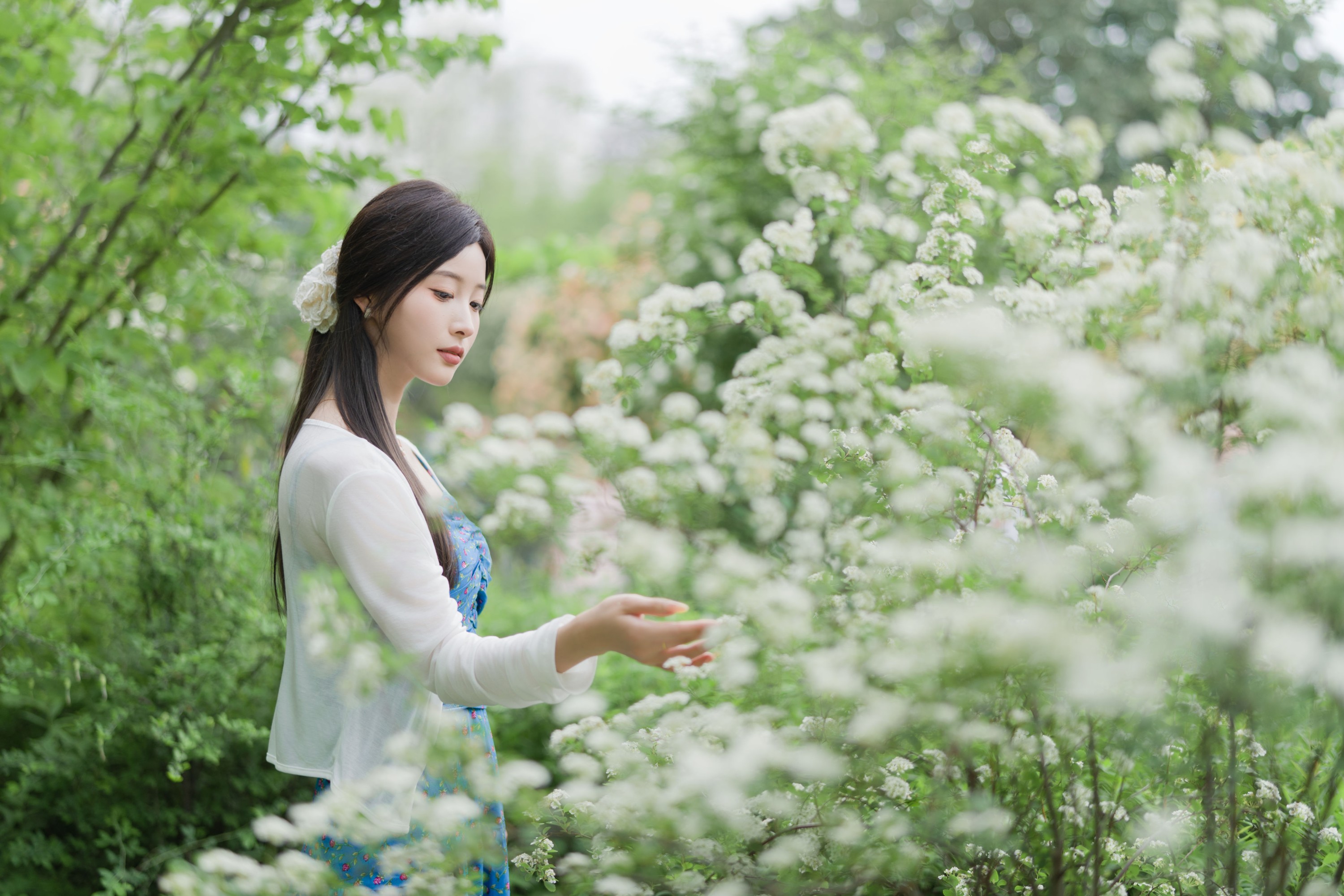 栀栀雯 – 《蔷薇春色》[36P] 插图5