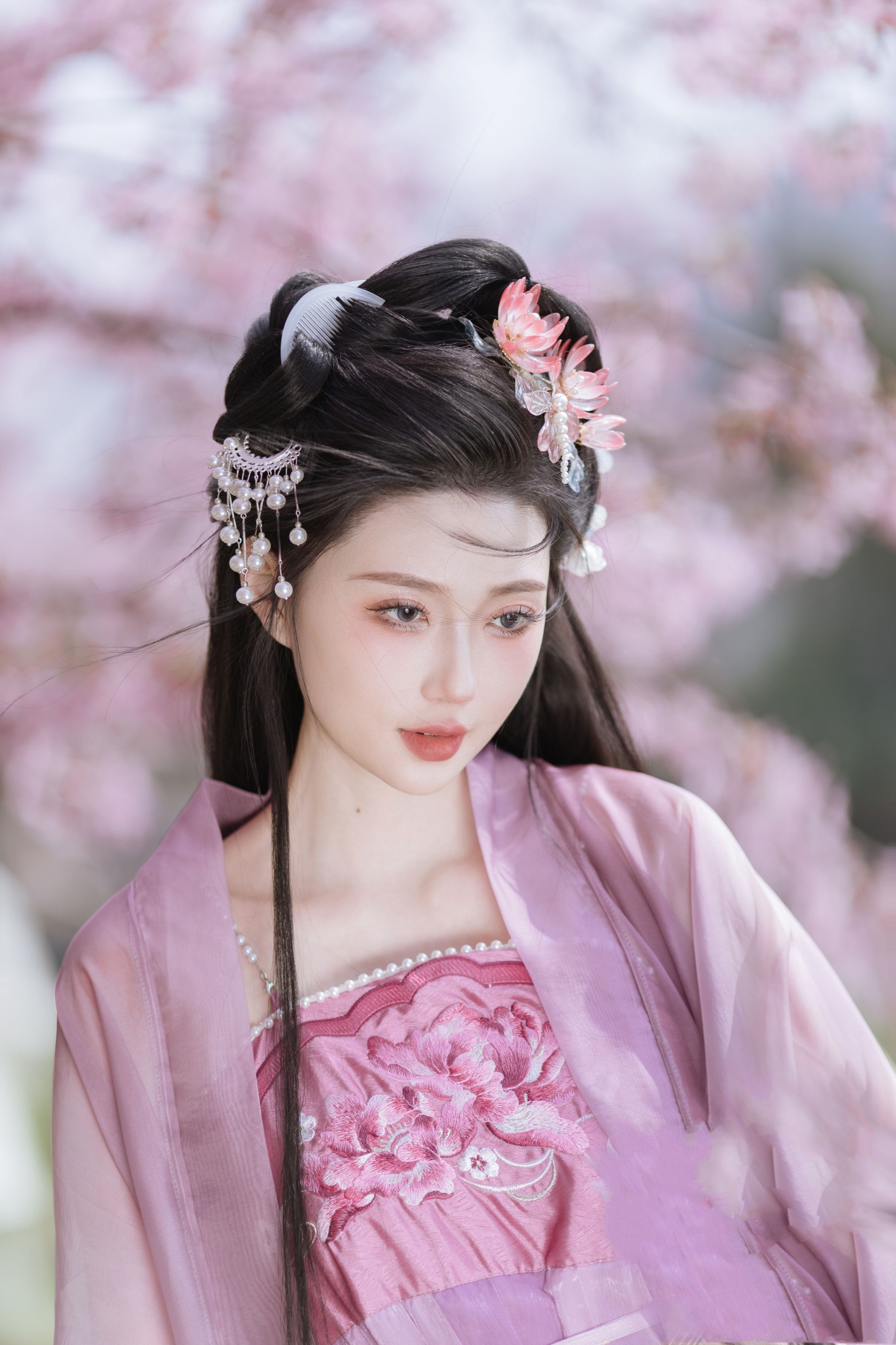 柳柳杨柳柳 – 《风起樱如雪》[18P] 插图5