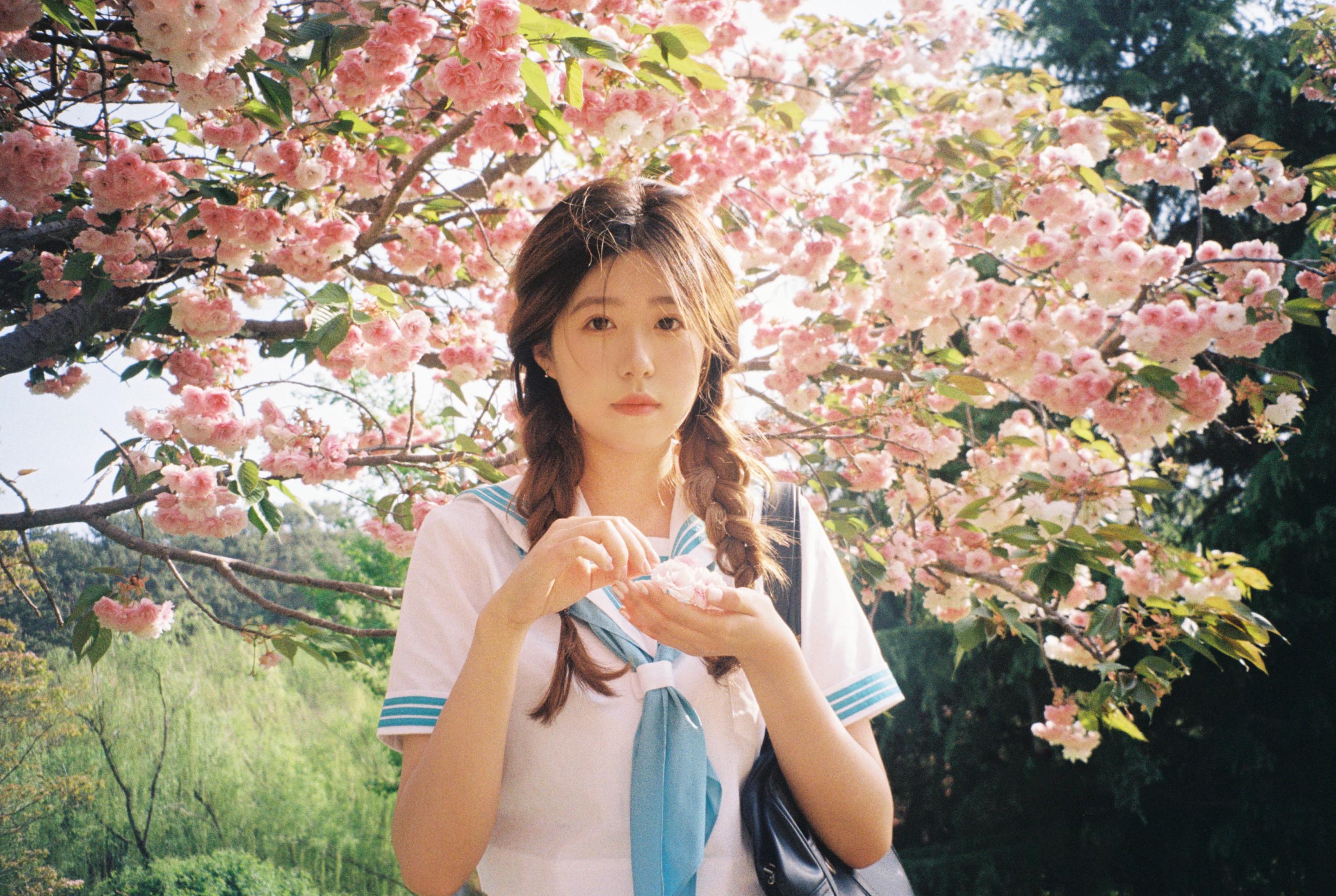 。 – 《樱花物语》[14P] 插图4