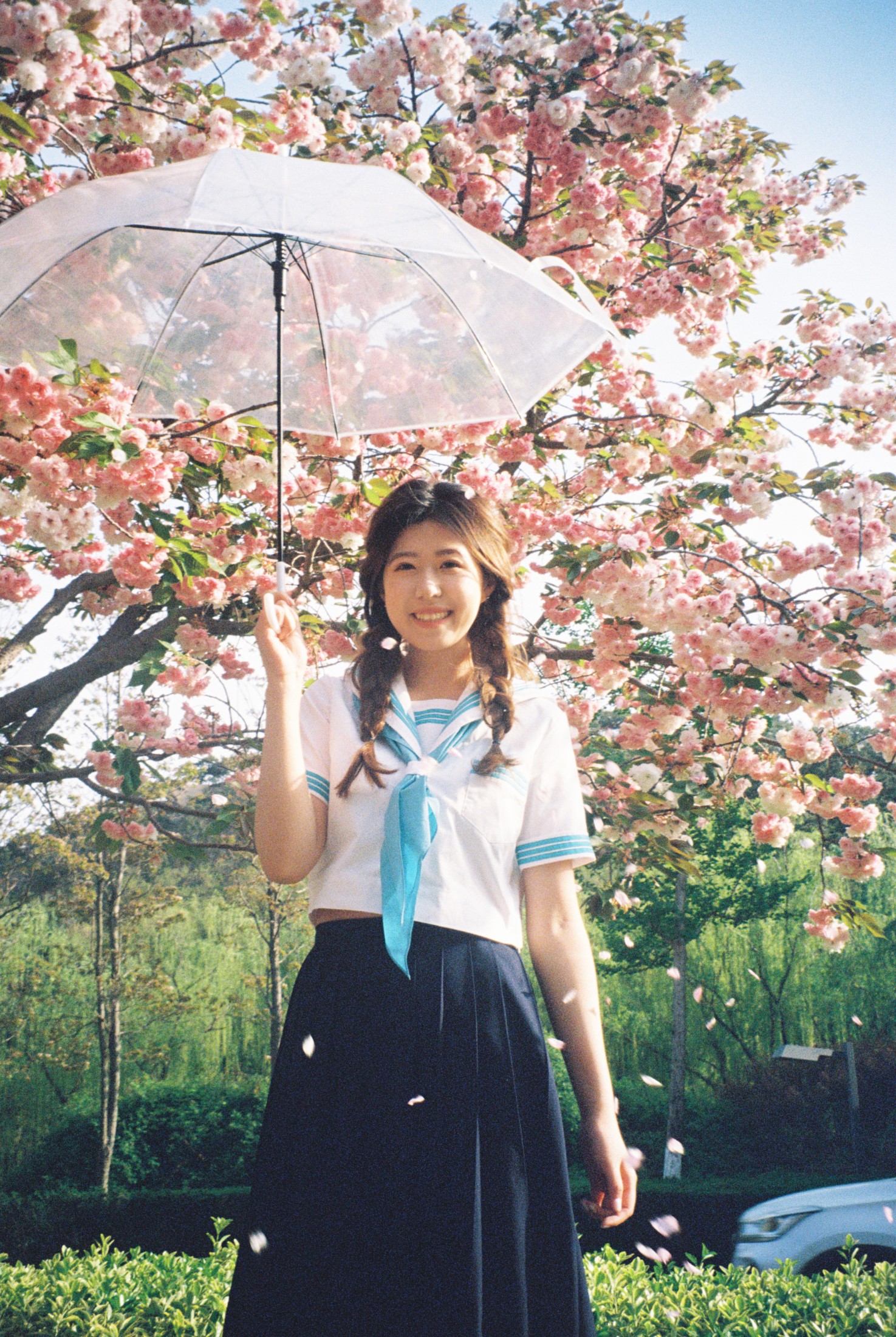 。 – 《樱花物语》[14P]-66COS