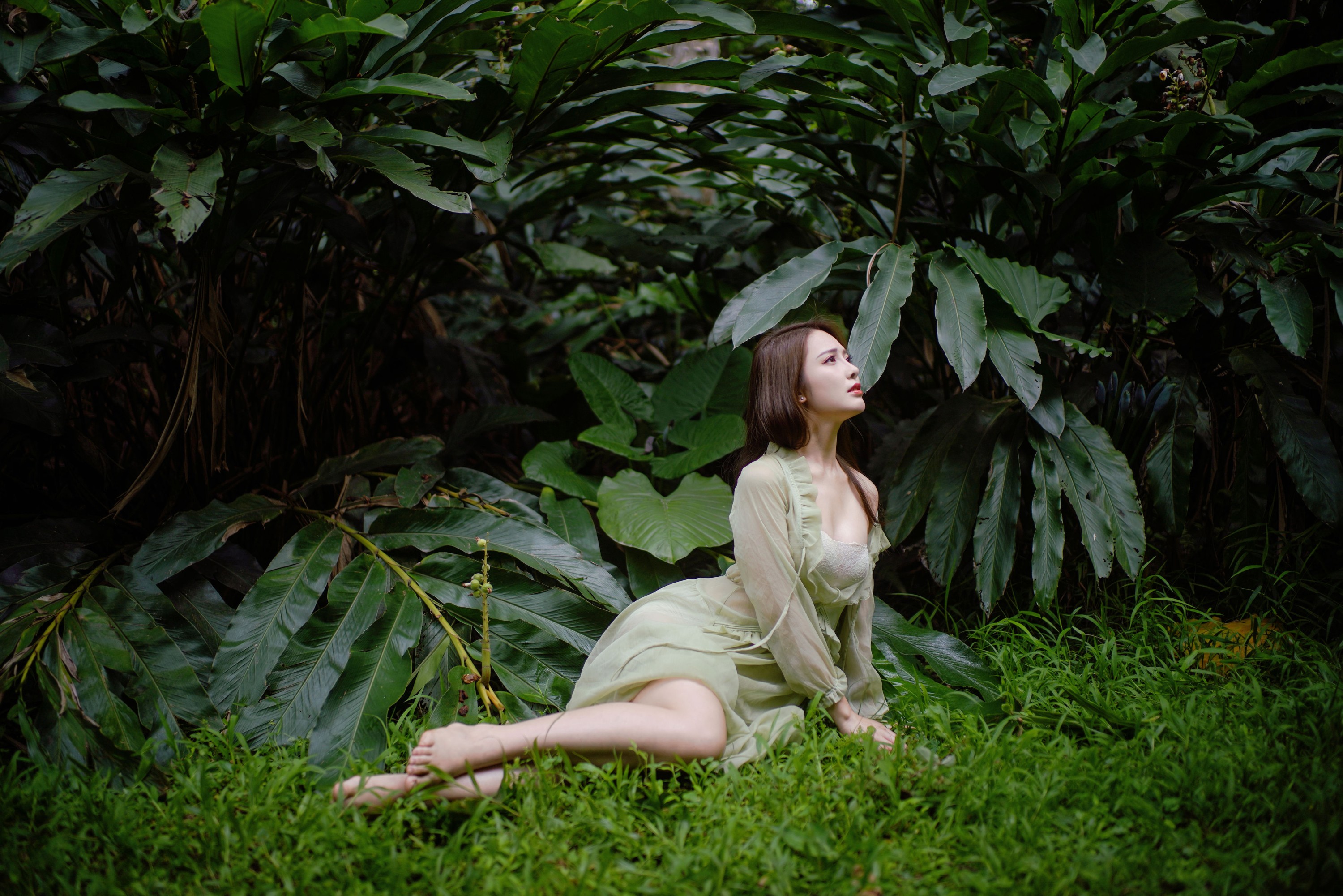  – 《森林童话：绿裙少女与光共舞》[39P] 插图5