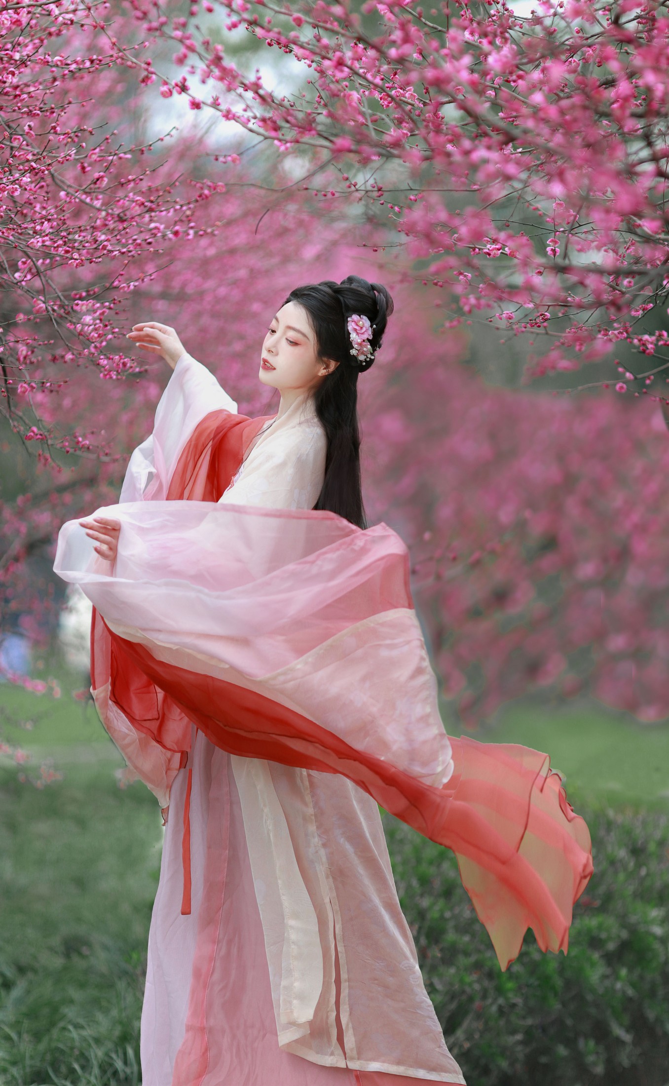 岁岁如意 – 《红梅》[14P]-66COS