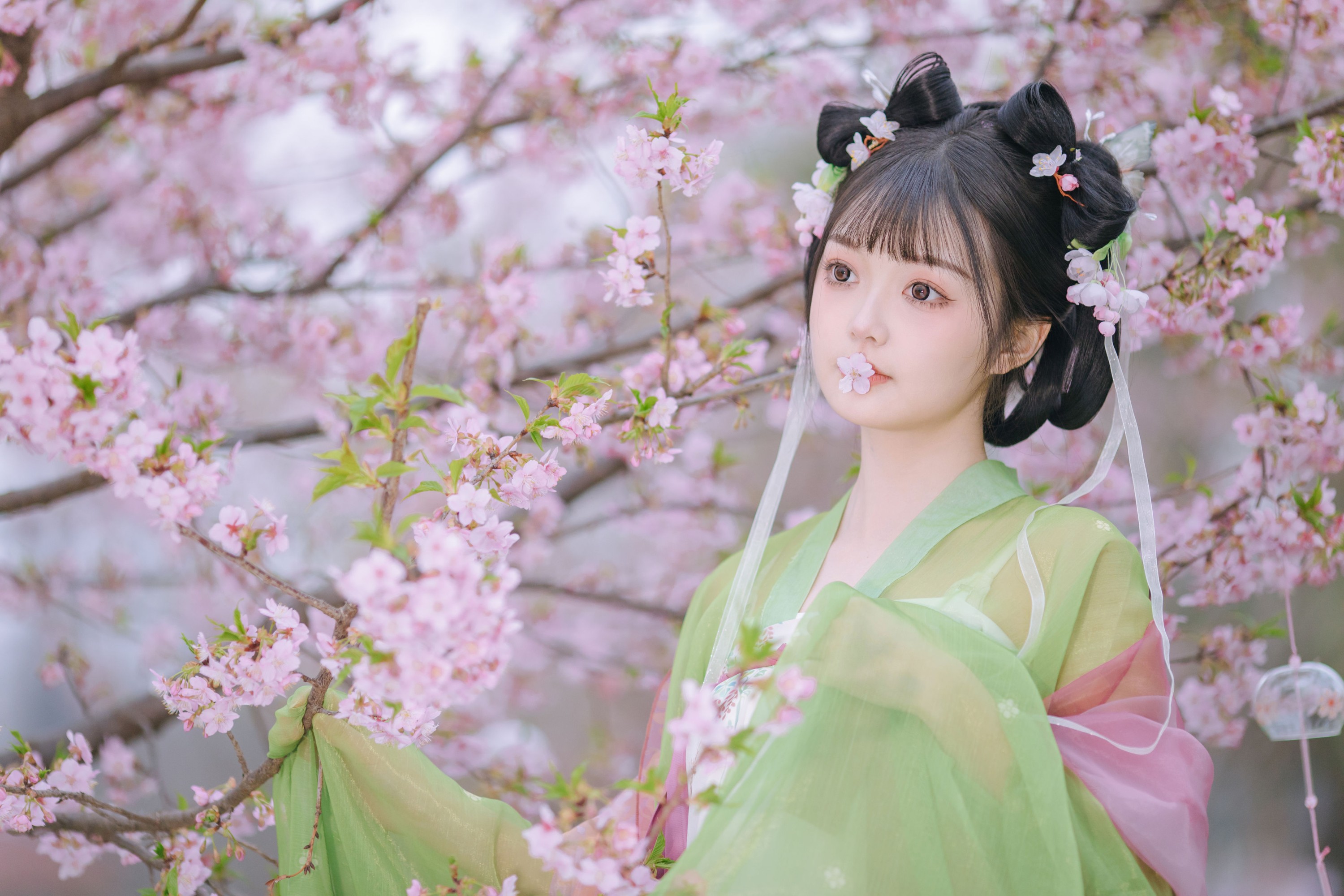 百狸 – 《春知晓》[18P]-66COS