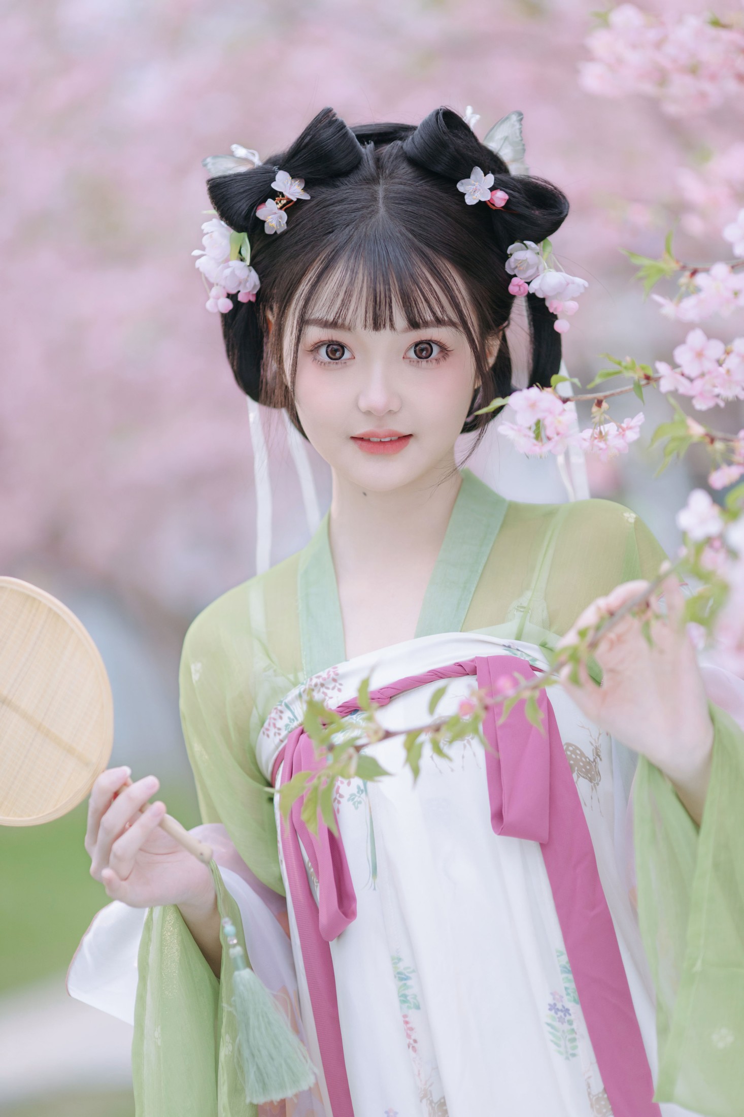 百狸 – 《春知晓》[18P] 插图4