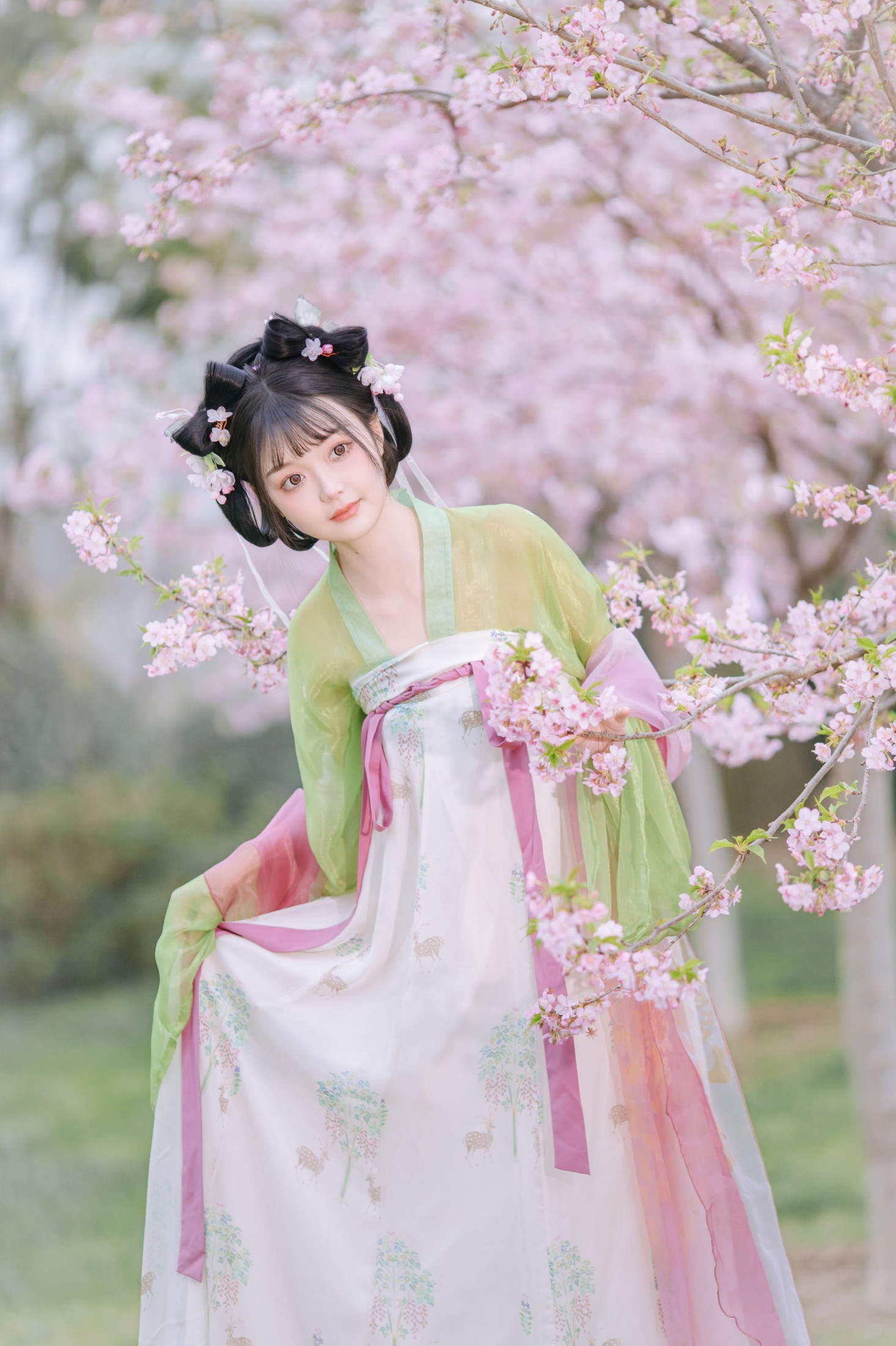 百狸 – 《春知晓》[18P] 插图3