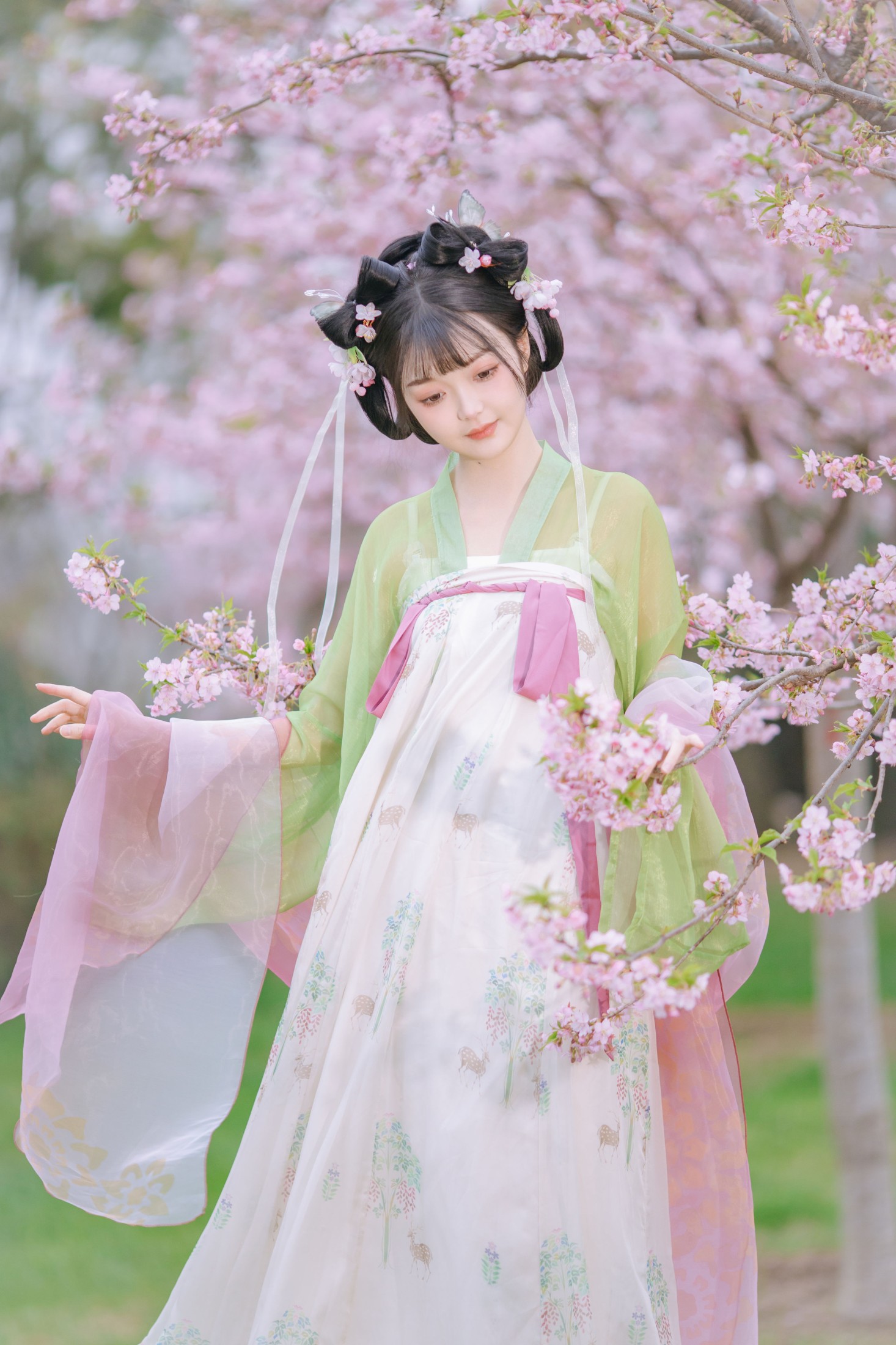 百狸 – 《春知晓》[18P] 插图2