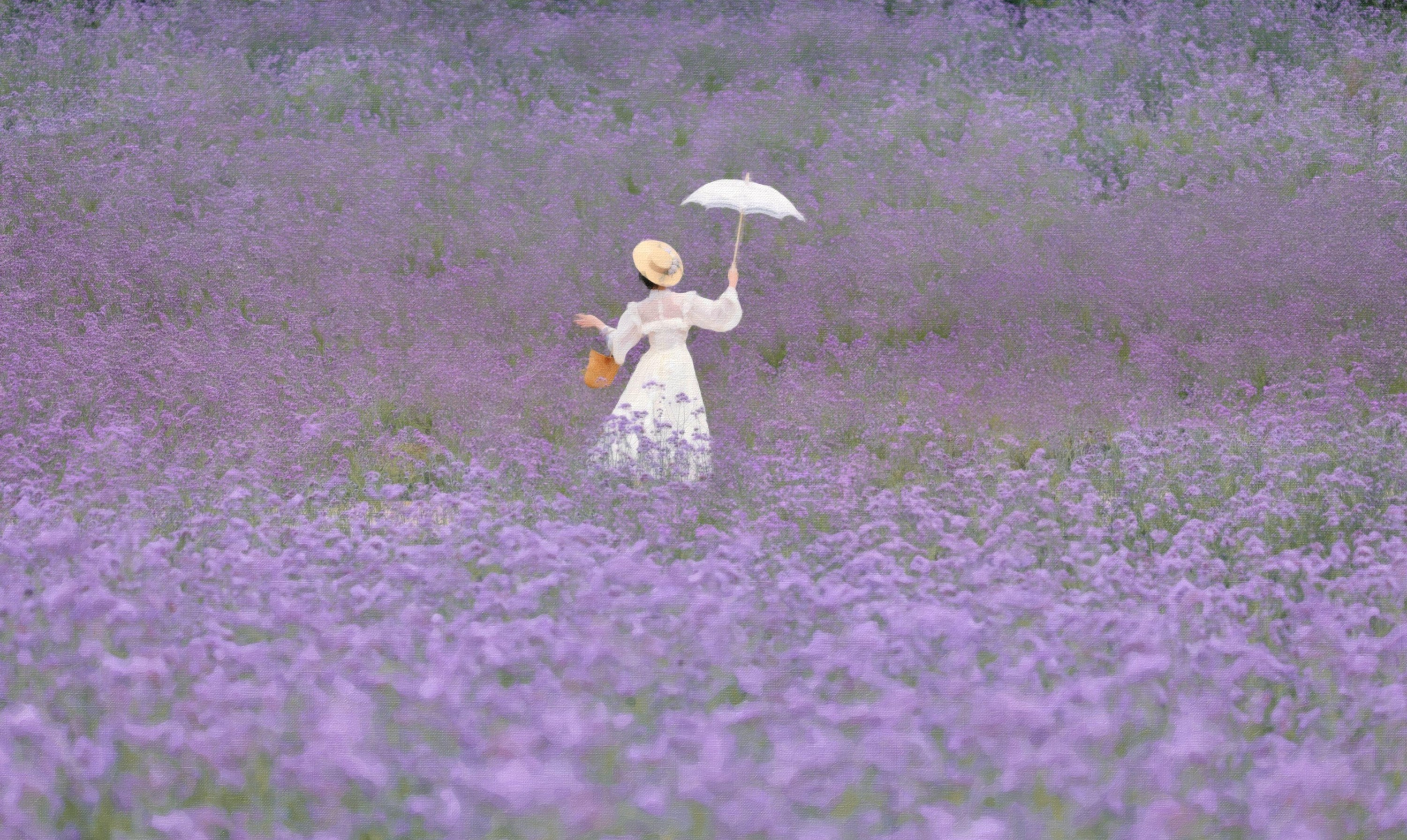 彦小彦摄影 – 《薰衣草的极致浪漫》[18P] 插图2