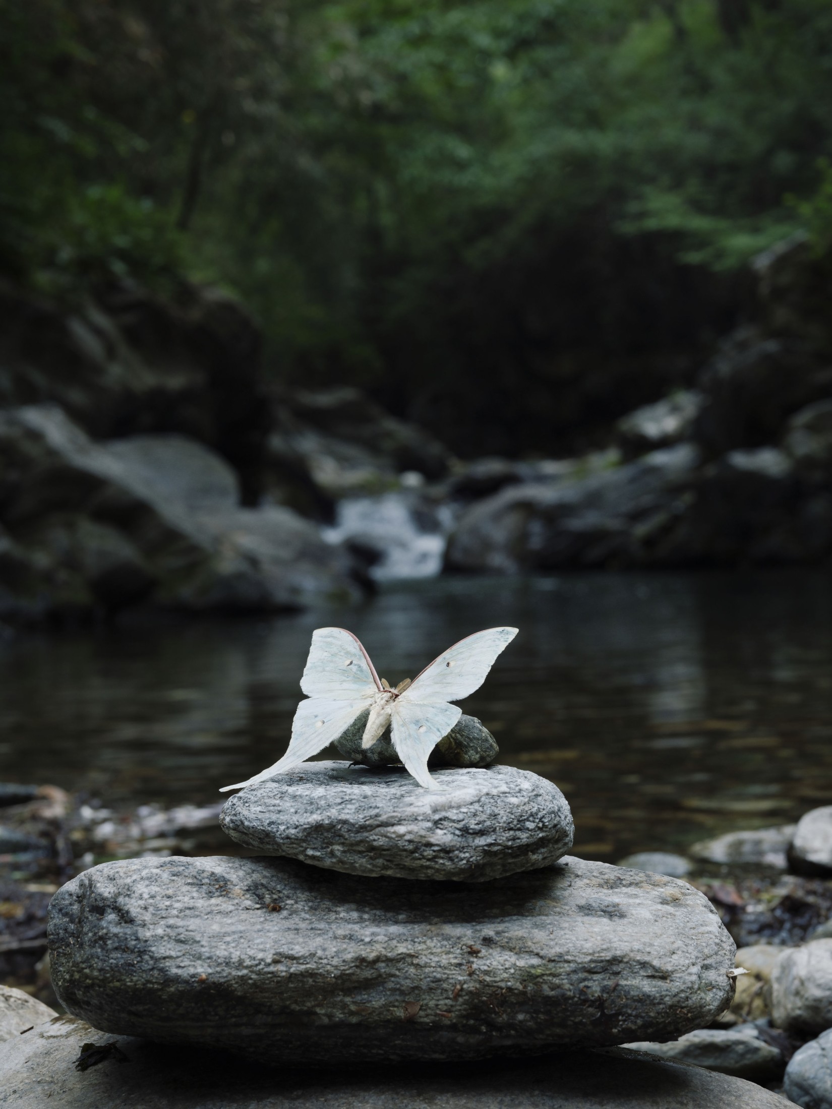 万元里美 – 《破茧》[13P] 插图4