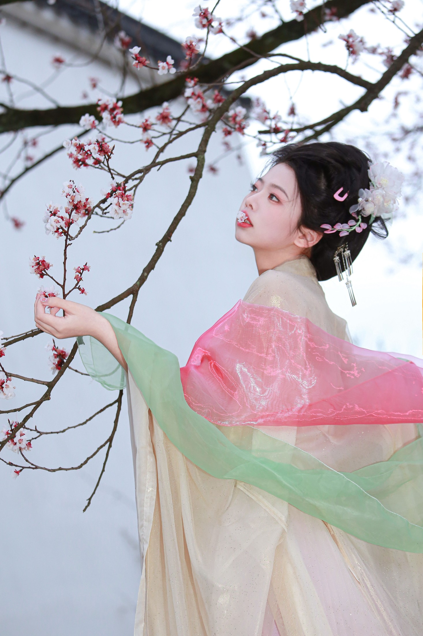 肥肥 – 《山茶花神》[13P] 插图4