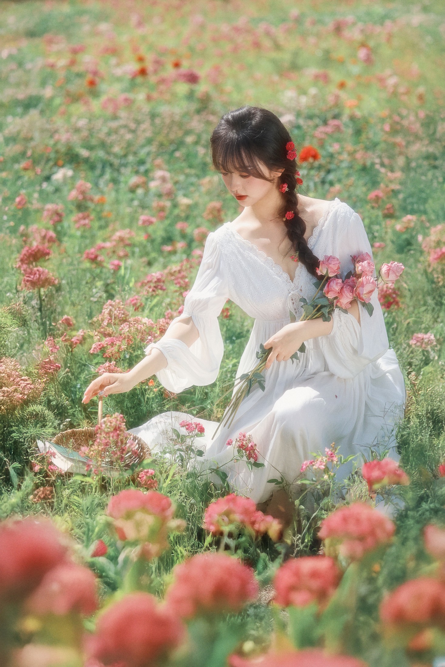 狮子 – 《误入爱丽丝的后花园》[33P] 插图3