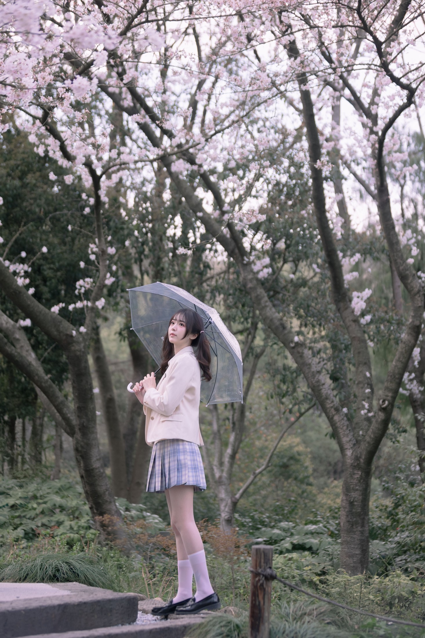 刺青师豆芽 – 《樱花树下的少女》[24P]-66COS