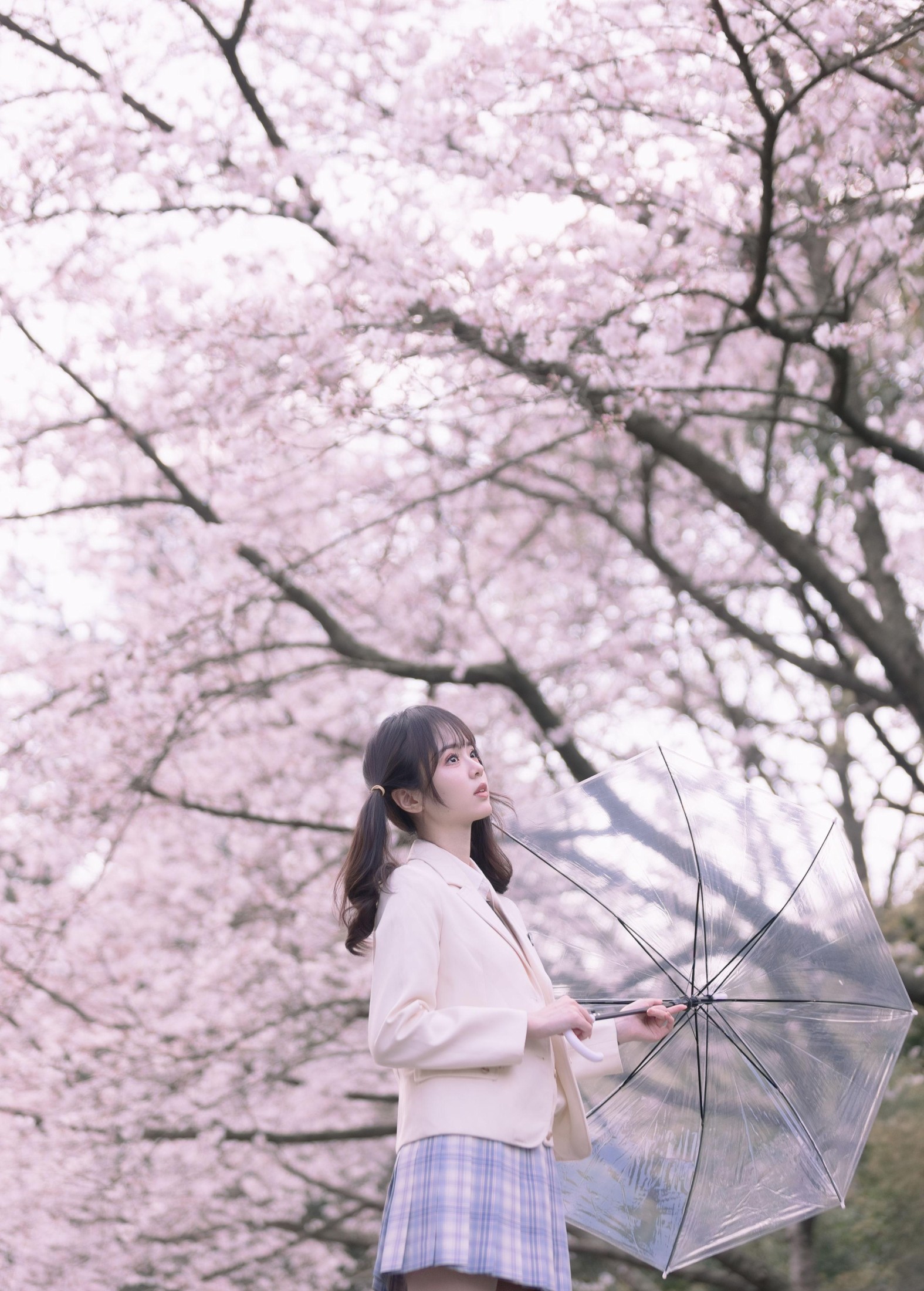 刺青师豆芽 – 《樱花树下的少女》[24P] 插图2