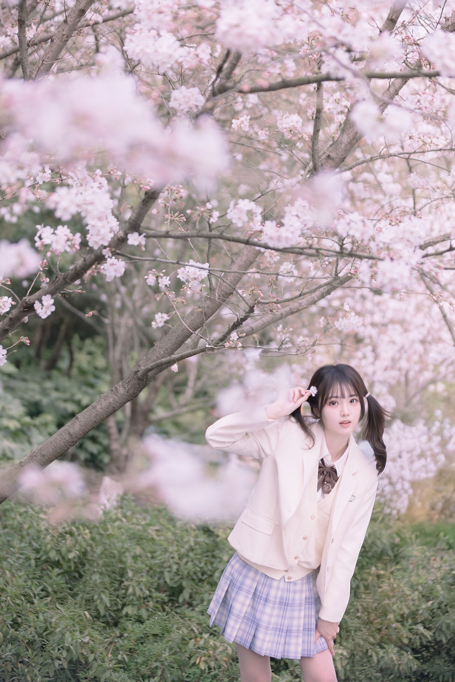 刺青师豆芽 – 《樱花树下的少女》[24P] 插图4