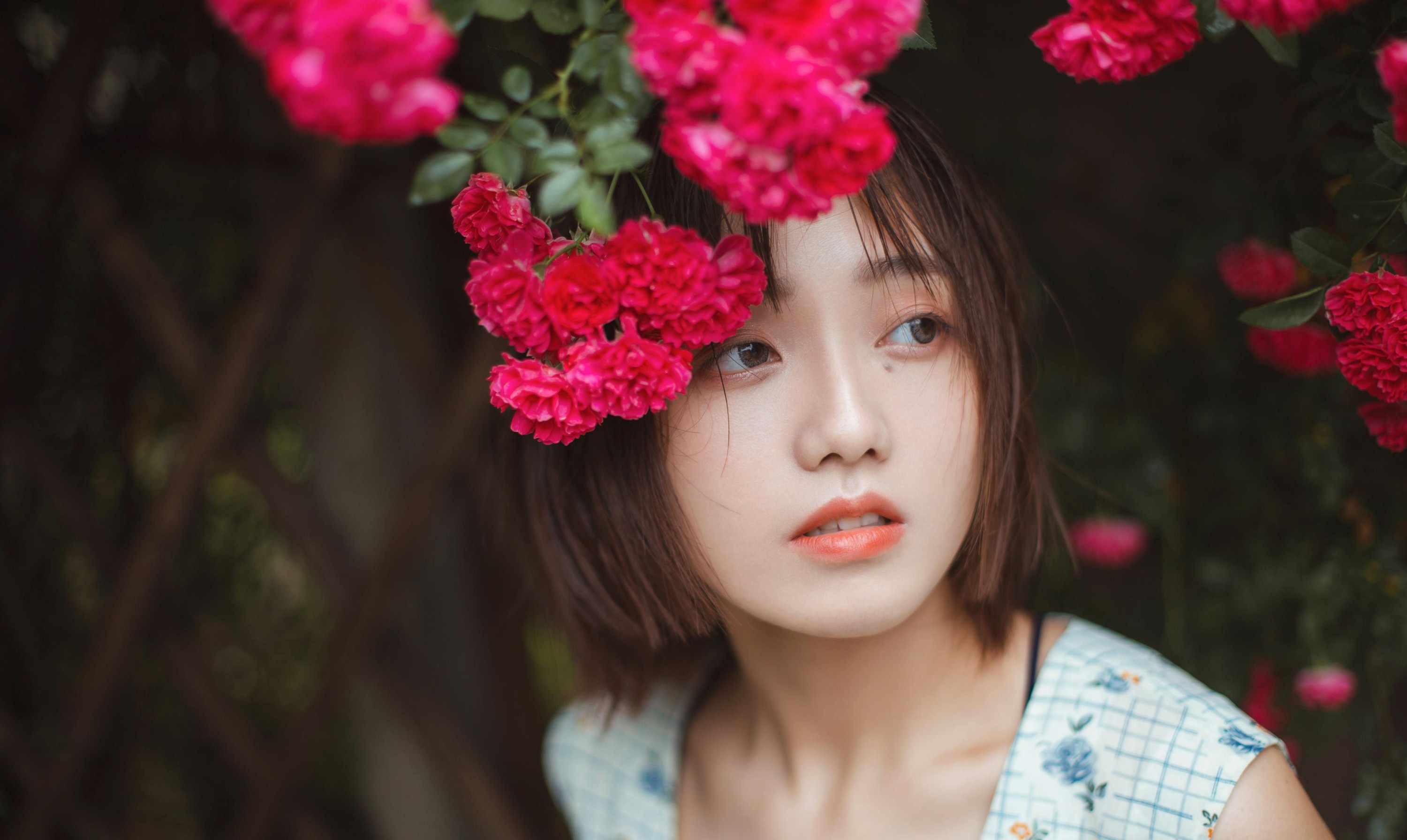 echo – 《青雉》[18P]-66COS
