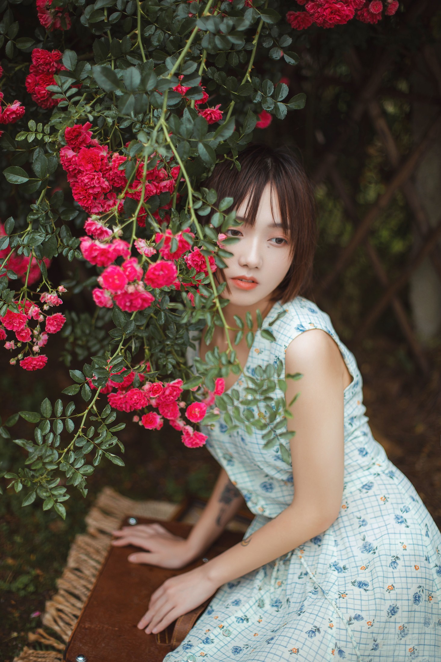 echo – 《青雉》[18P] 插图5