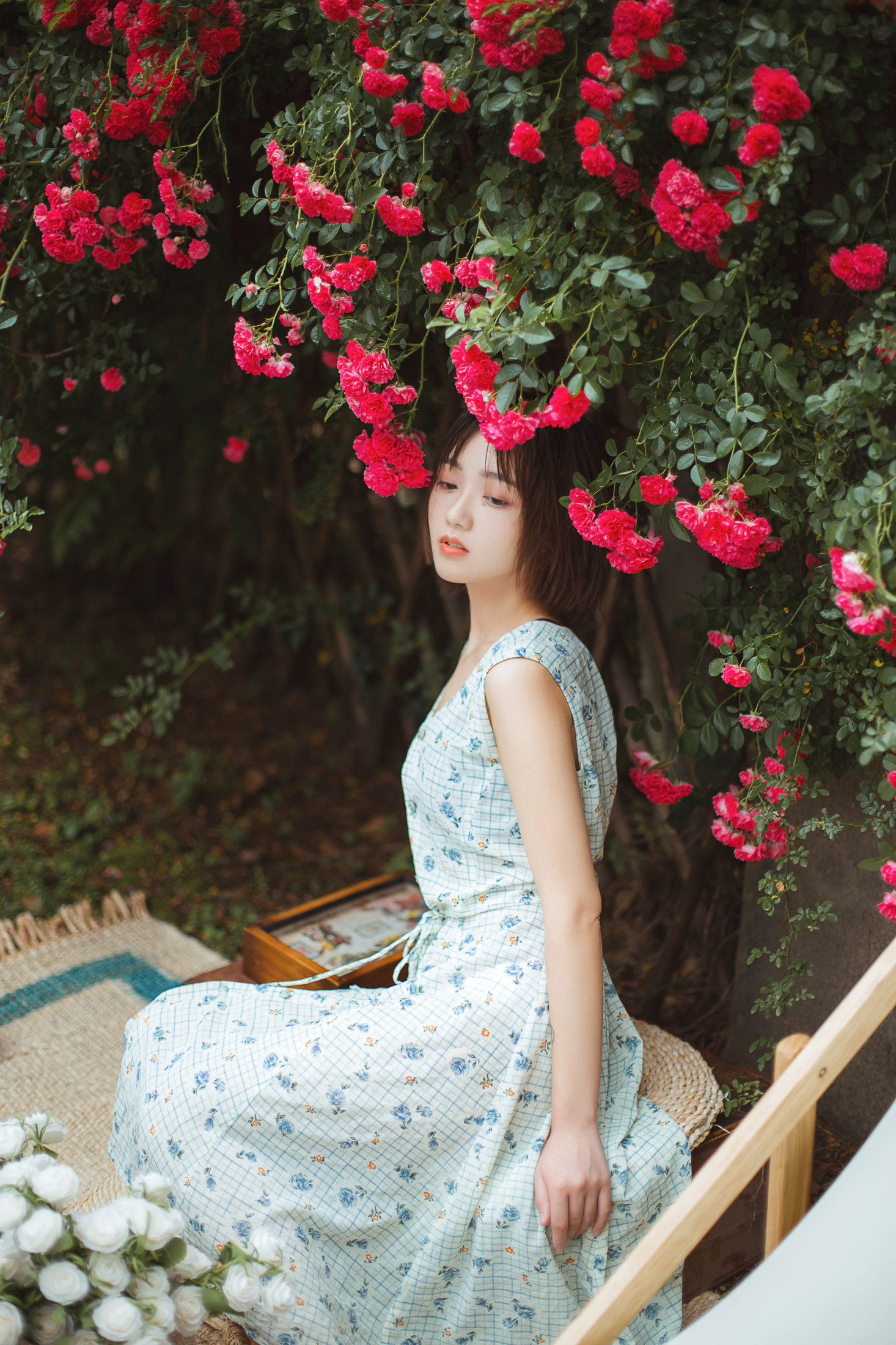 echo – 《青雉》[18P] 插图3