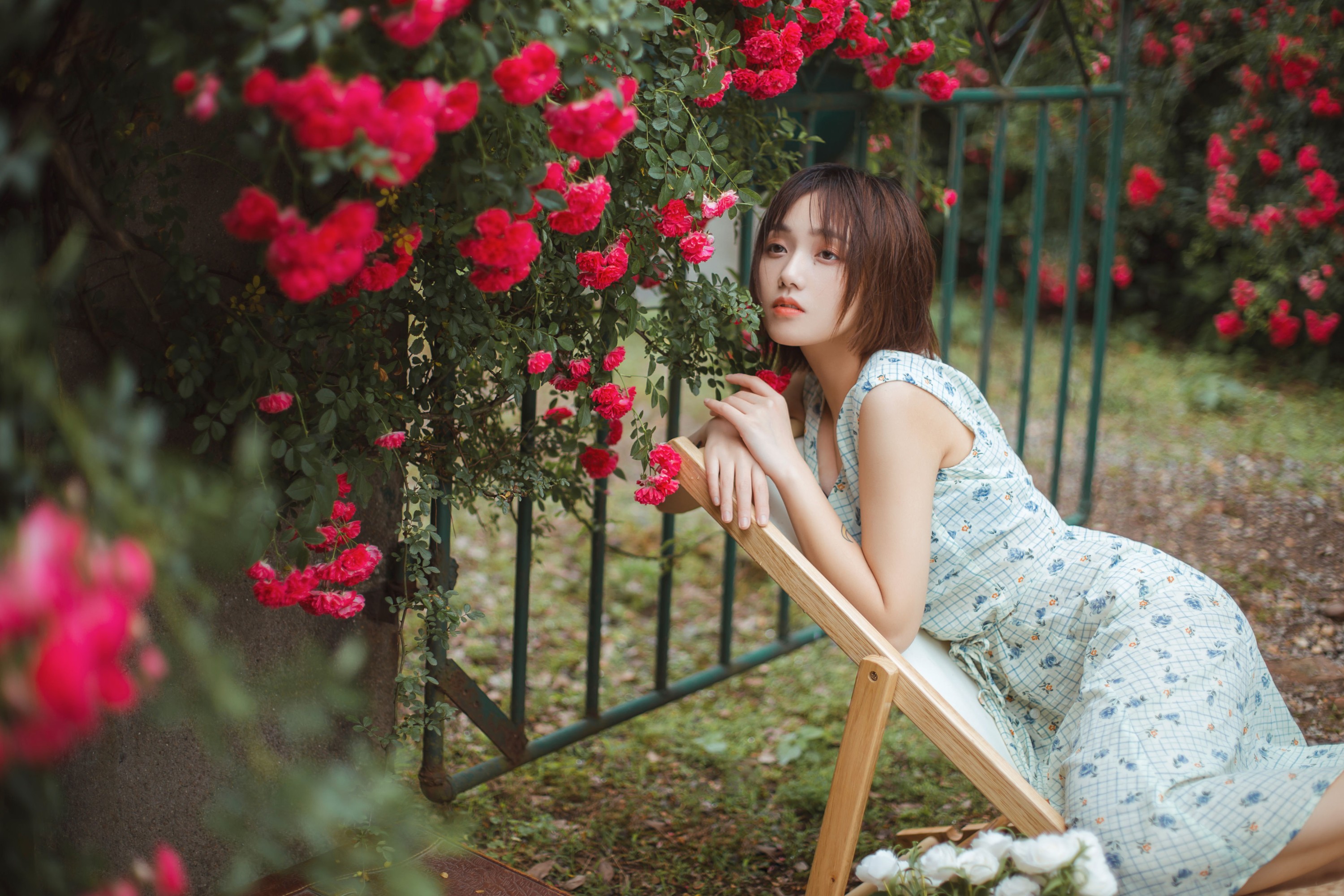 echo – 《青雉》[18P] 插图2