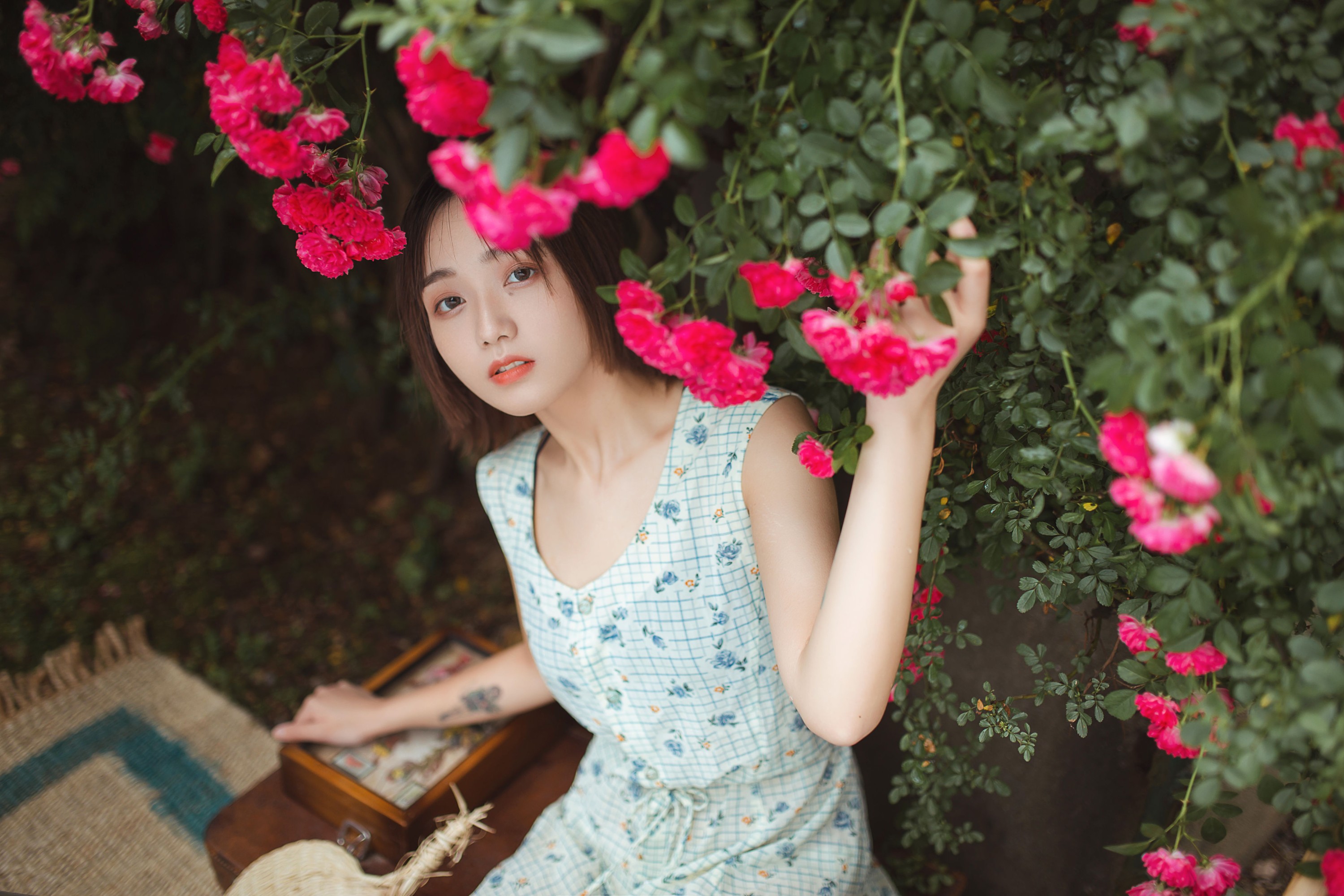 echo – 《青雉》[18P] 插图4