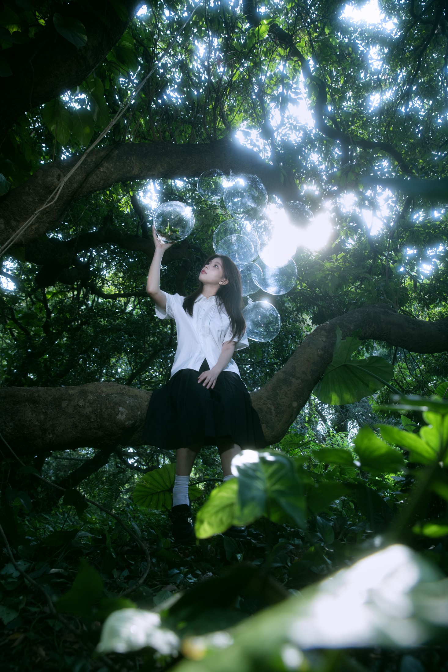 Cookie_ – 《绿野仙踪》[15P]-66COS