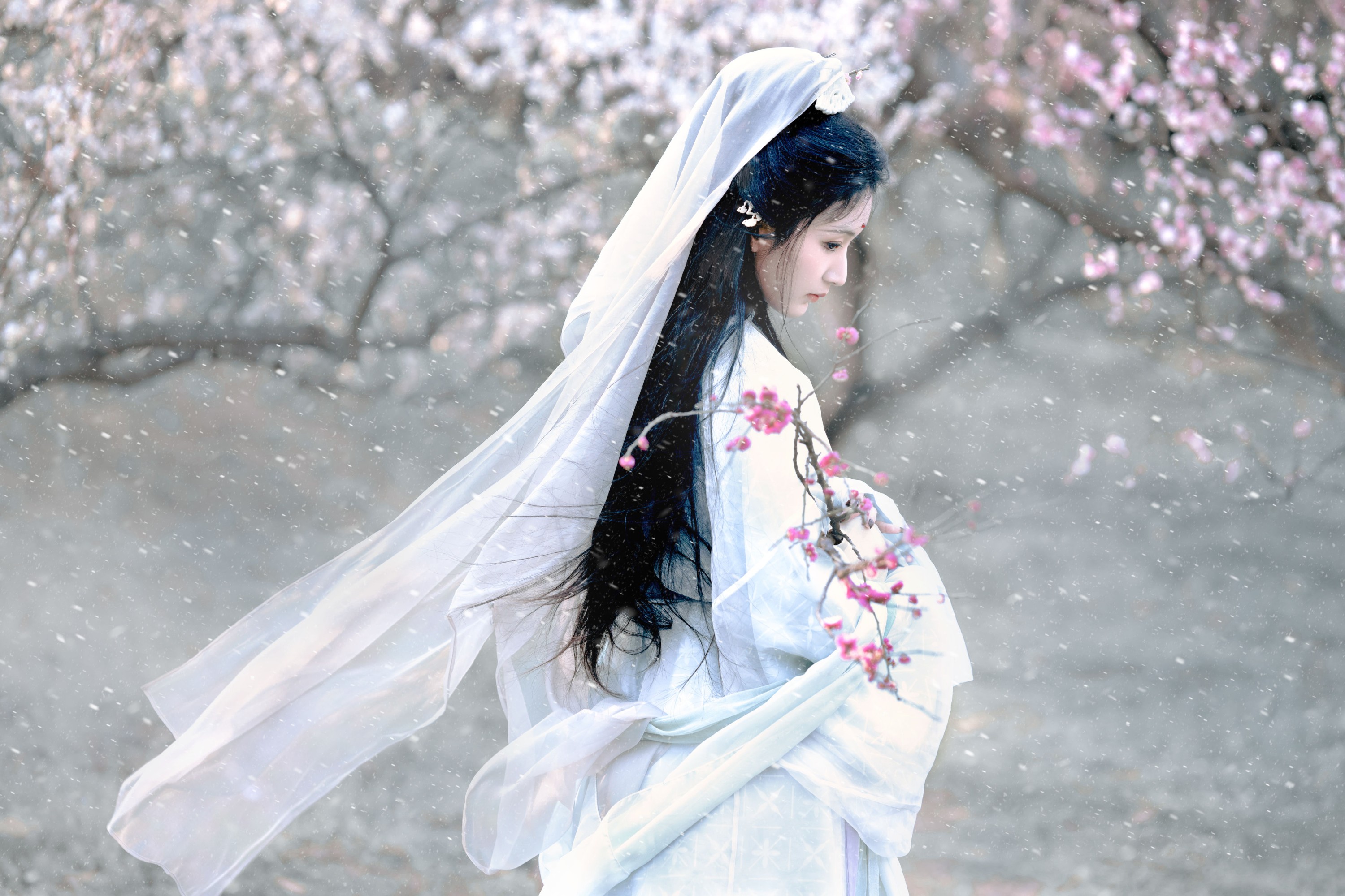 荷里寒 – 《琉璃世界，白雪红梅》[14P] 插图5