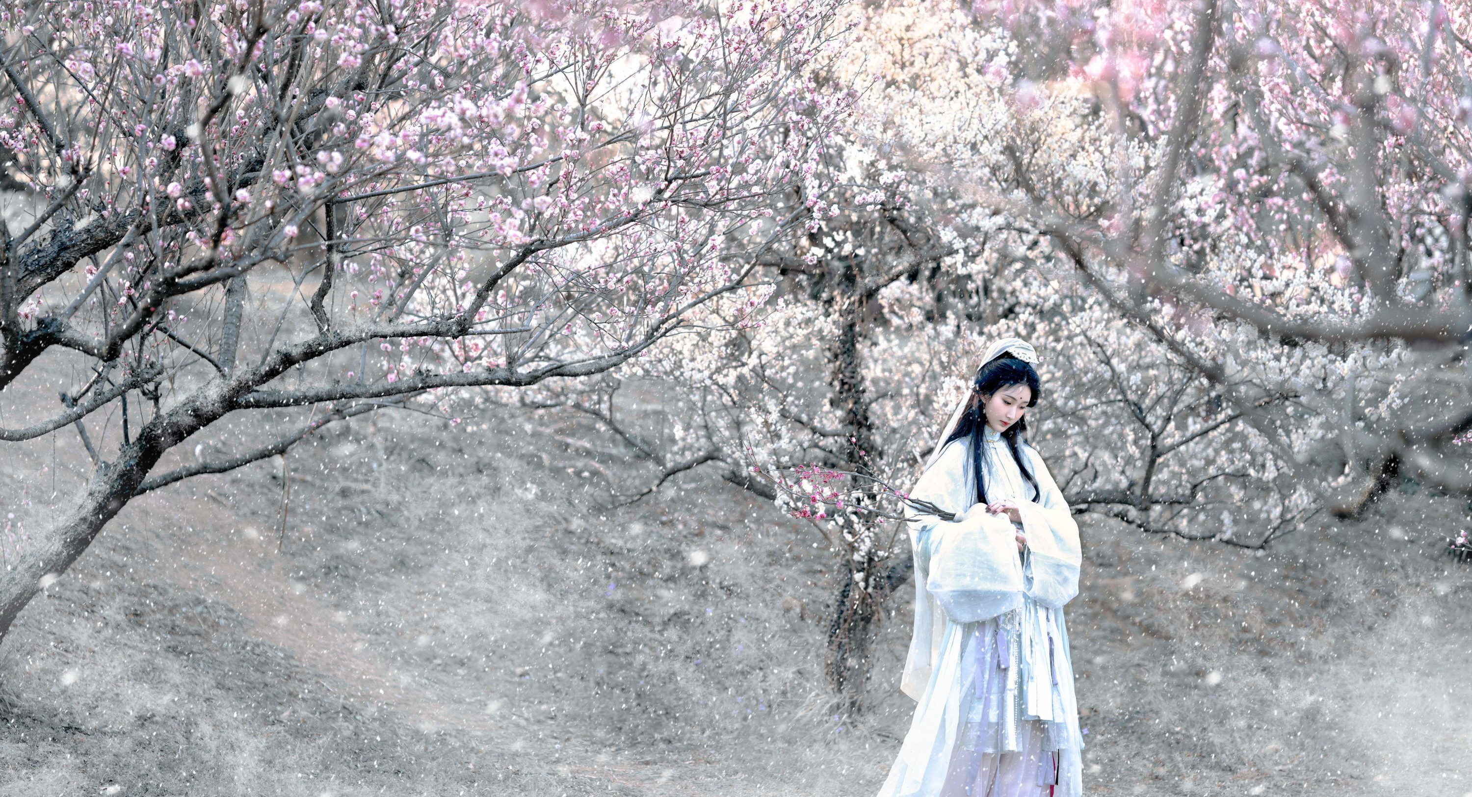 荷里寒 – 《琉璃世界，白雪红梅》[14P] 插图2