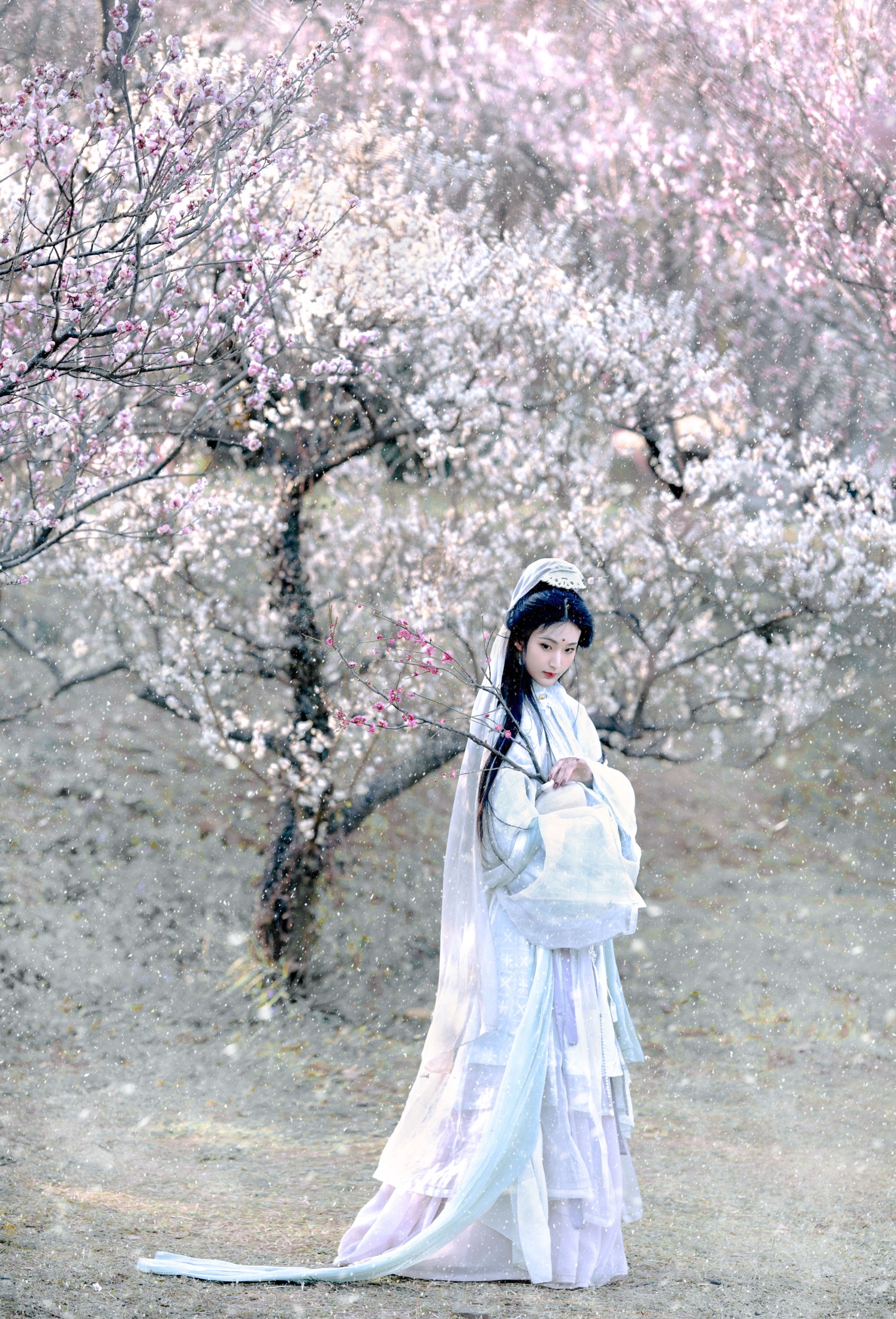 荷里寒 – 《琉璃世界，白雪红梅》[14P] 插图4