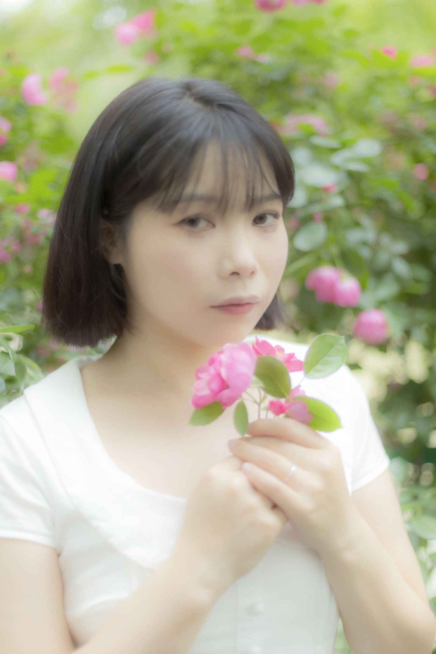 Y～ – 《蔷薇花女孩》[21P] 插图3