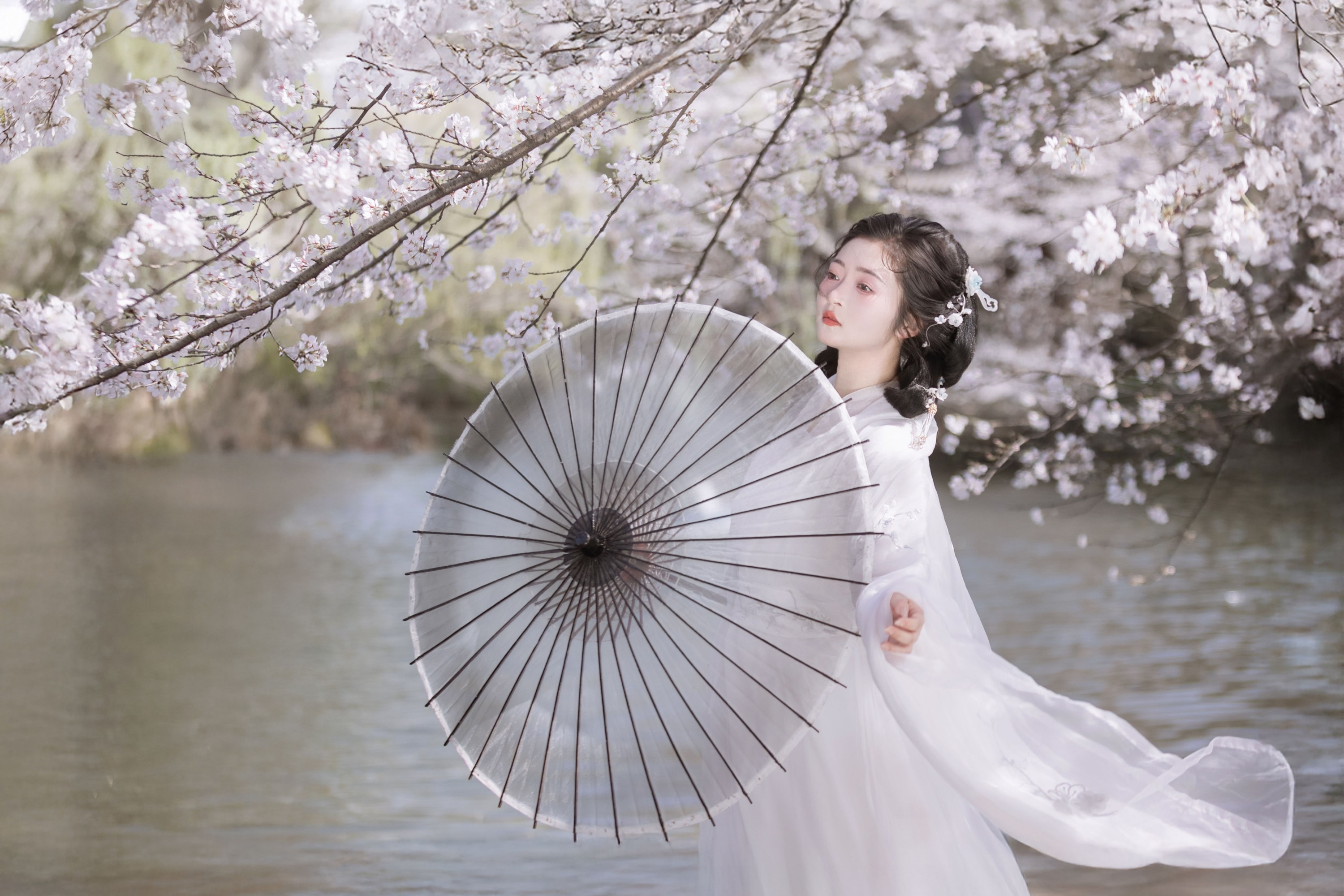 比奇堡最漂亮的女人 – 《故园赏樱》[30P] 插图4