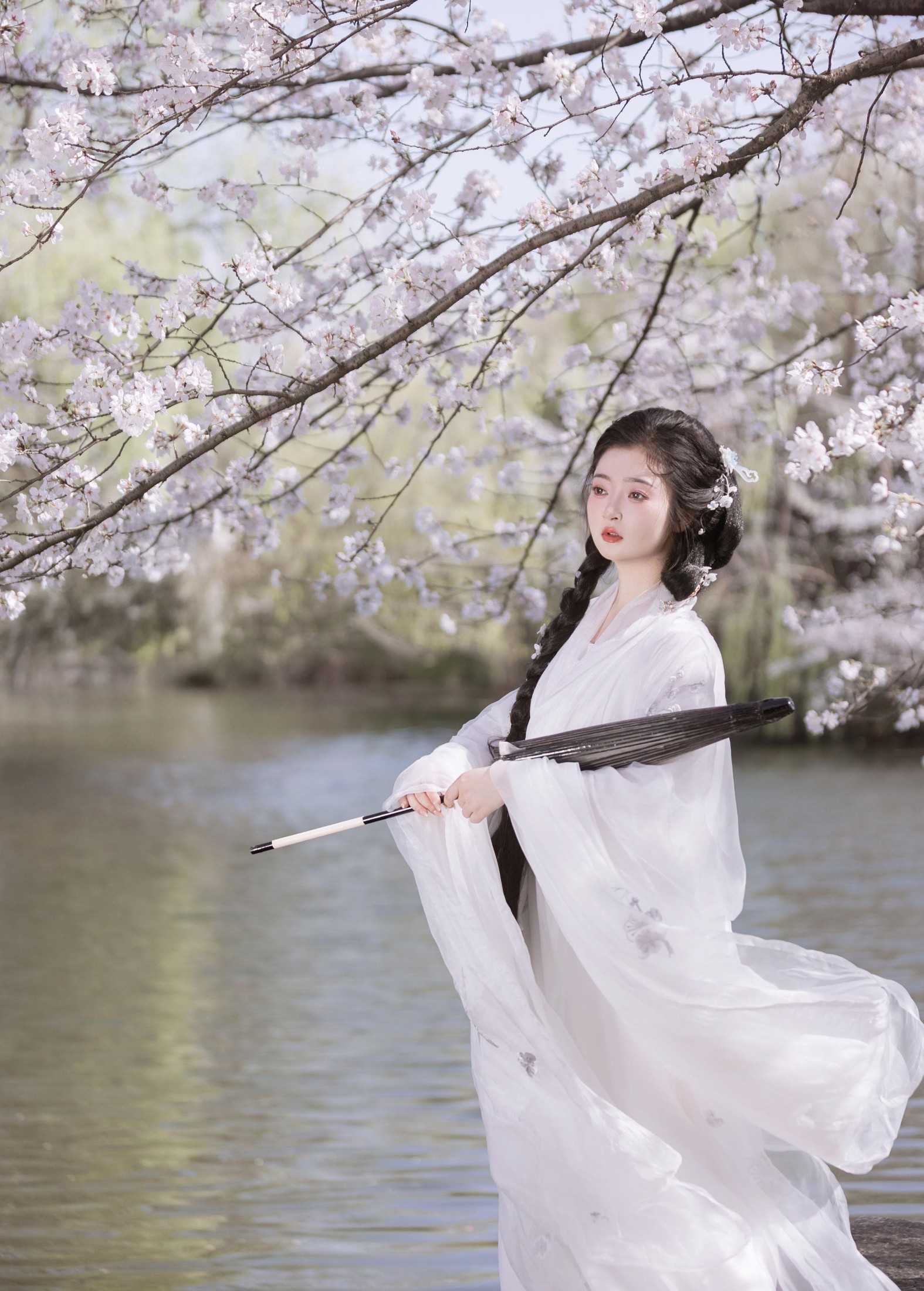 比奇堡最漂亮的女人 – 《故园赏樱》[30P] 插图2