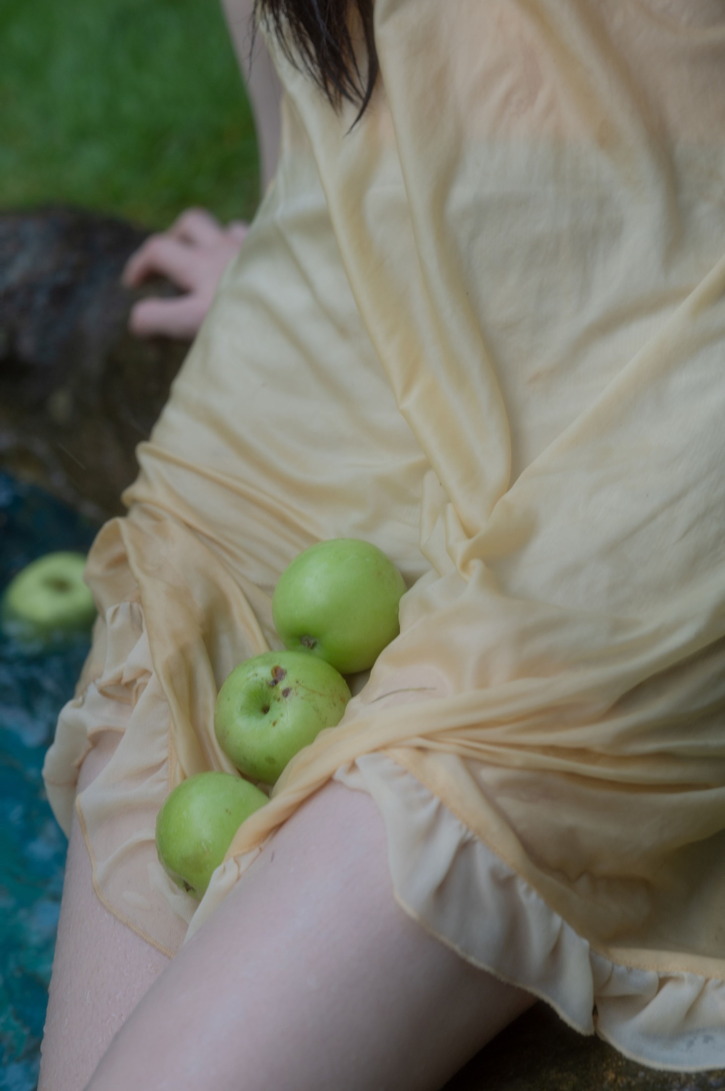 tree – 《贝拉花园》[53P] 插图4