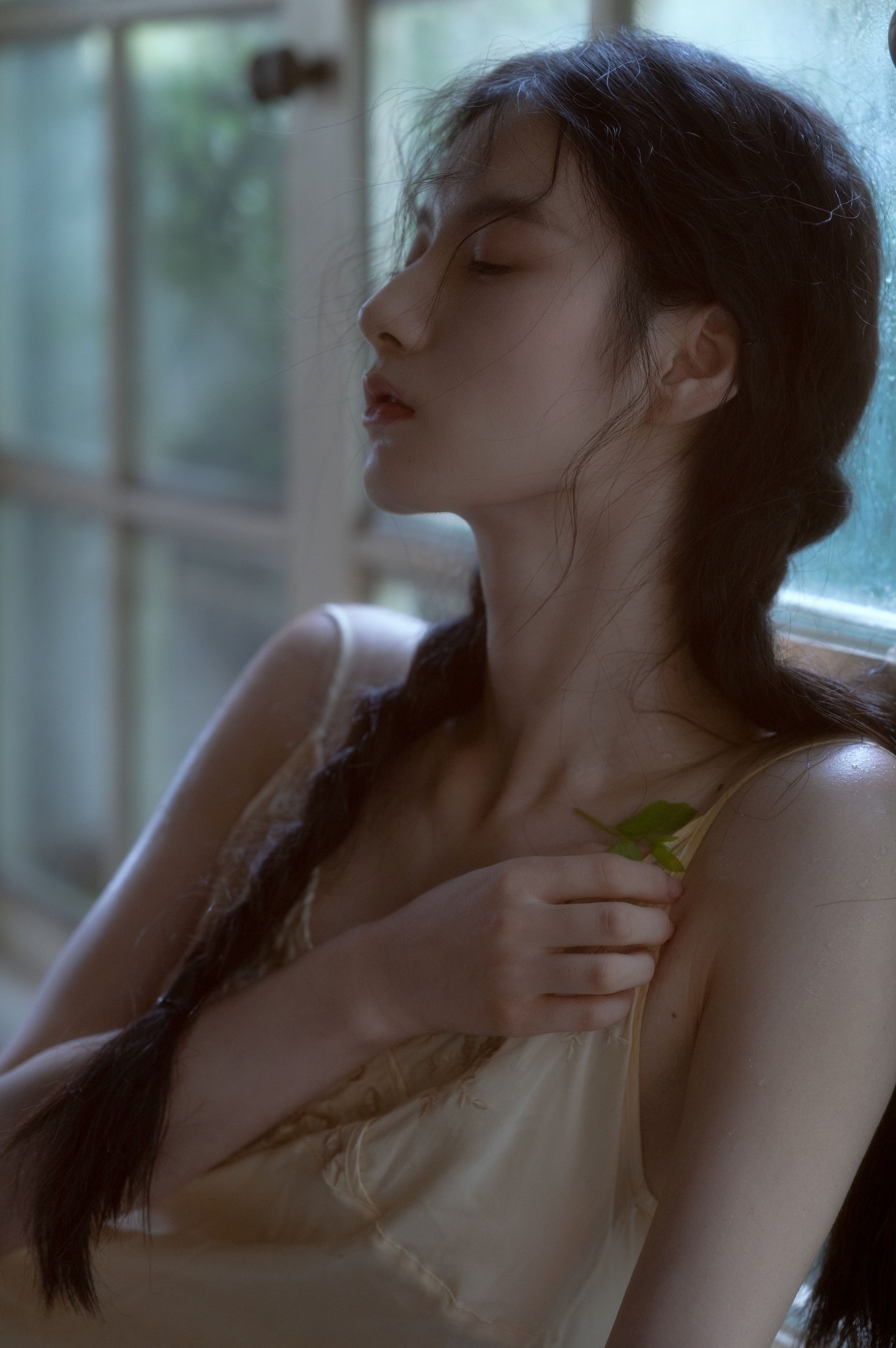 tree – 《贝拉花园》[53P] 插图3