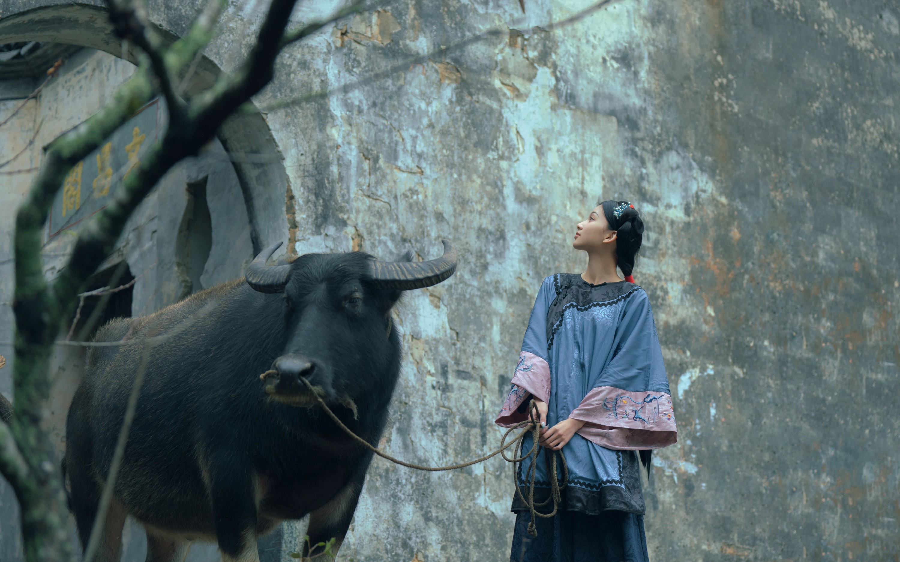 二一芝 – 《时间停在她骑着牛背的那年》[16P] 插图5