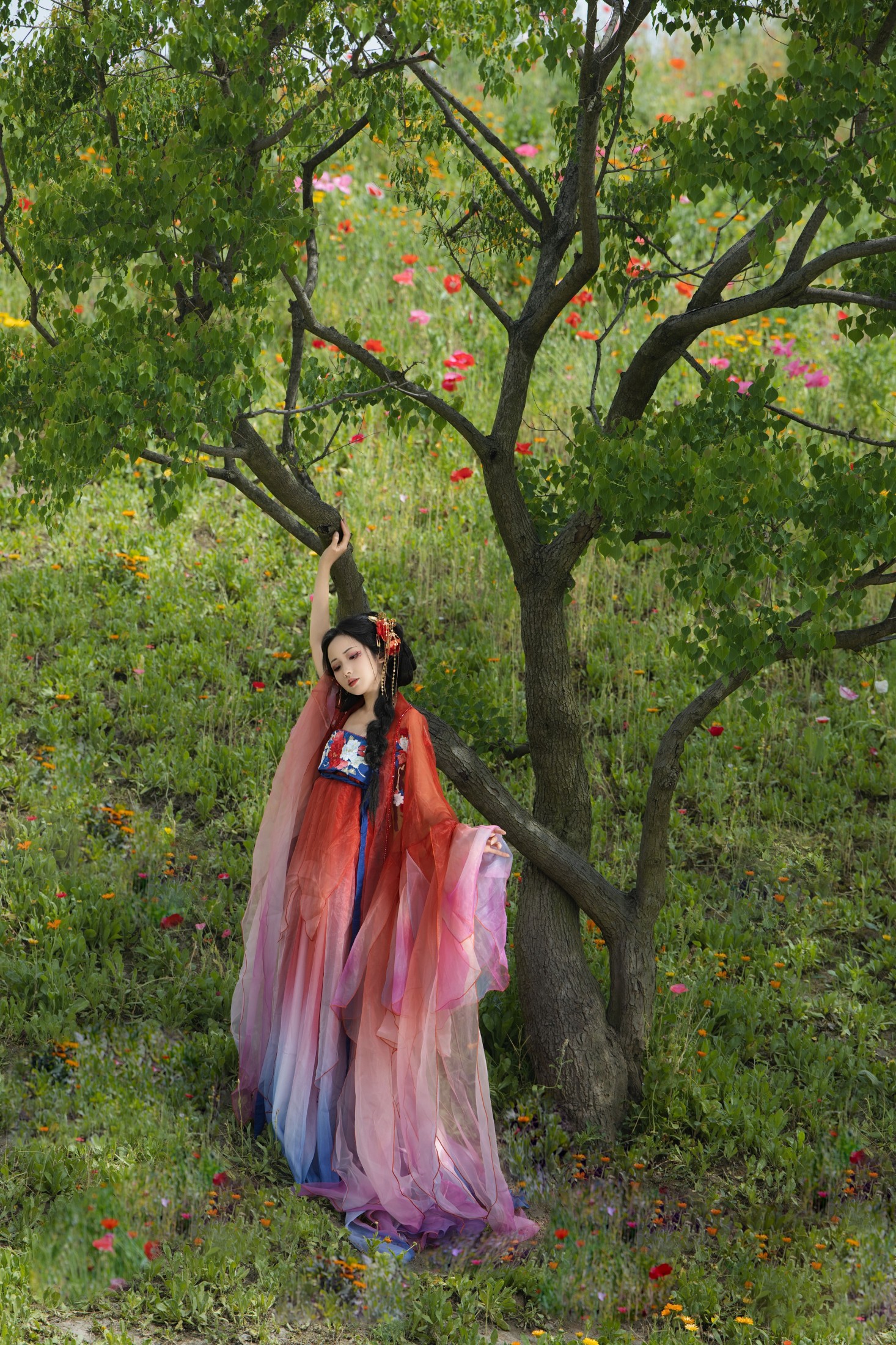 羊羊 – 《虞美人》[16P]-66COS
