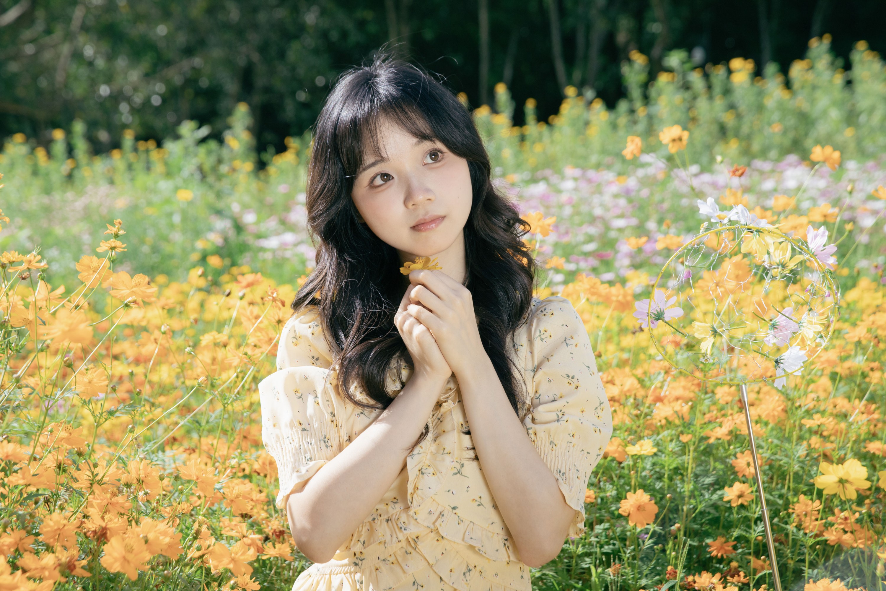 梨窝安安 – 《捕捉春天》[18P] 插图5