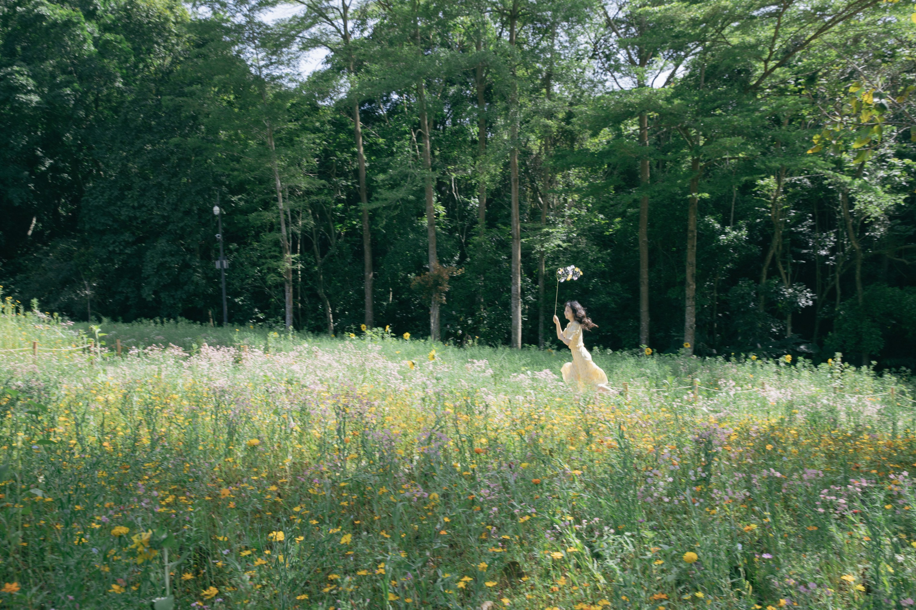 梨窝安安 – 《捕捉春天》[18P] 插图3