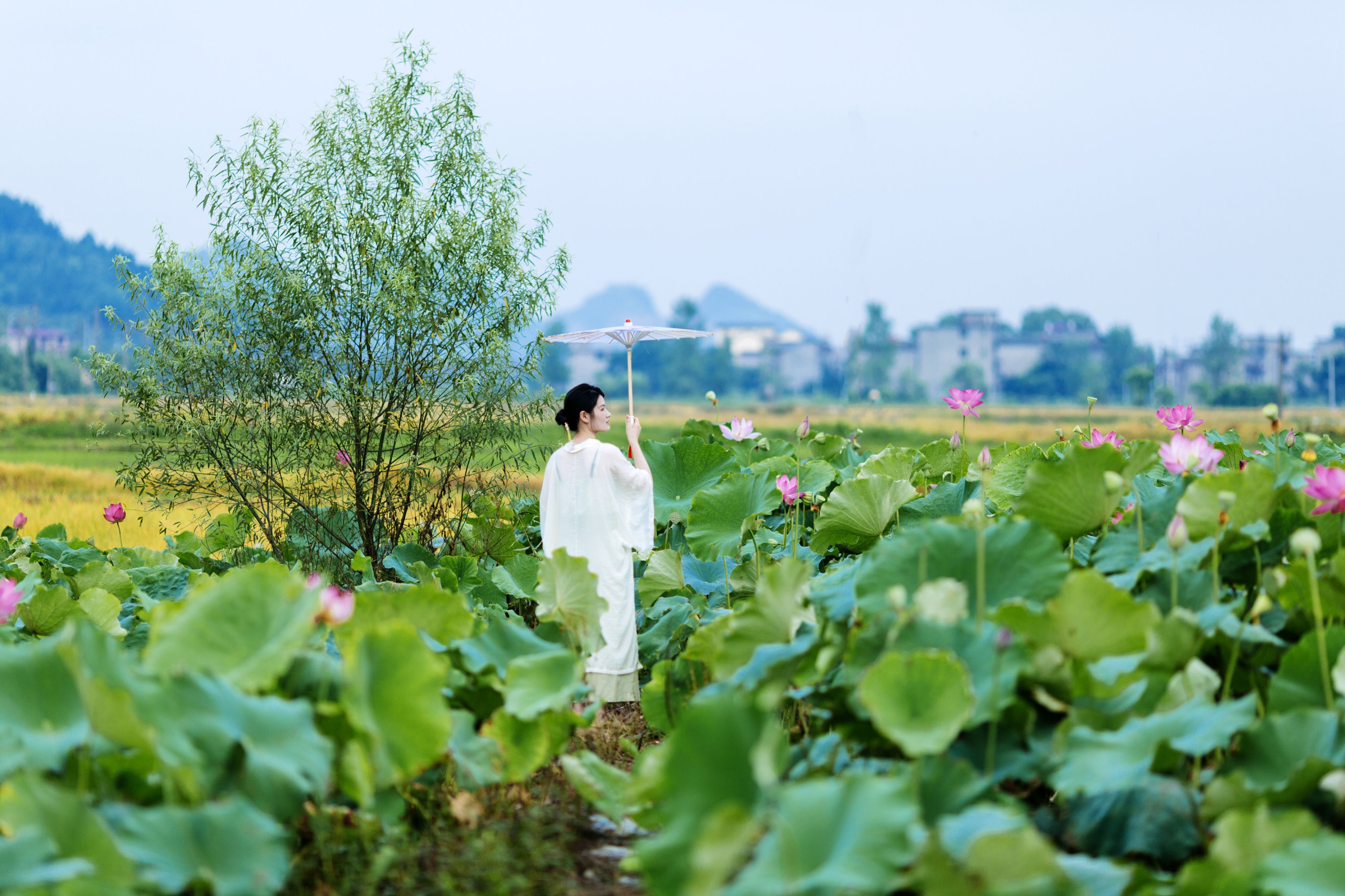 潘潘 – 《春有百花夏有荷》[14P] 插图5
