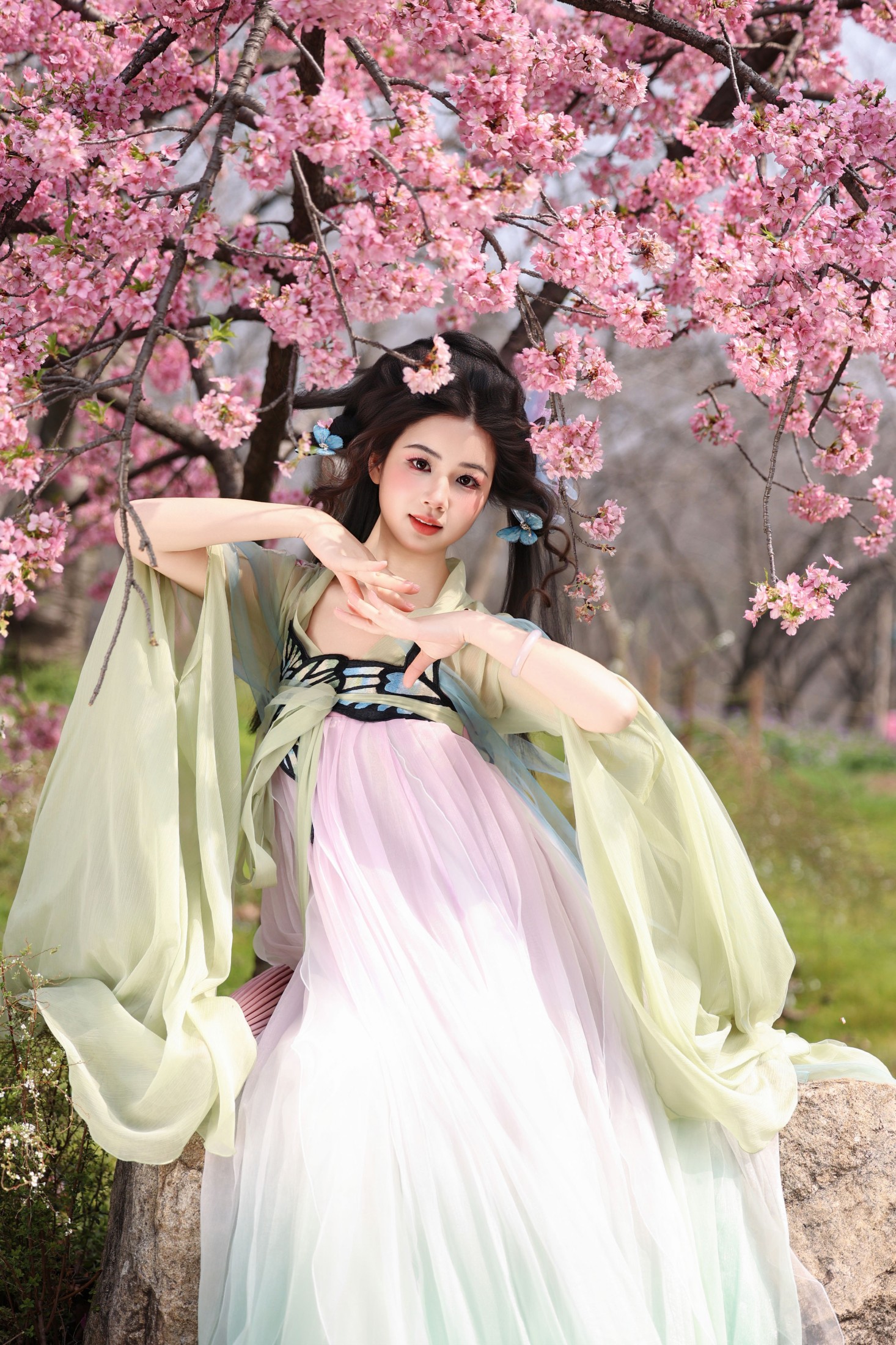 小杜同学 – 《蝴蝶梦》[26P] 插图3