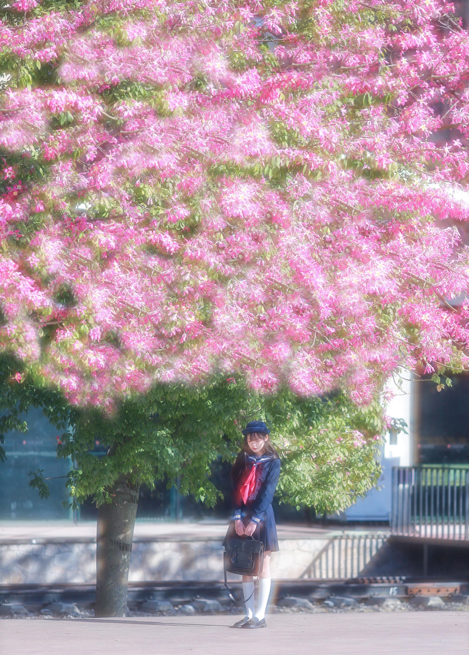 Fish-Lam – 《像漫画里的场景》[18P] 插图2