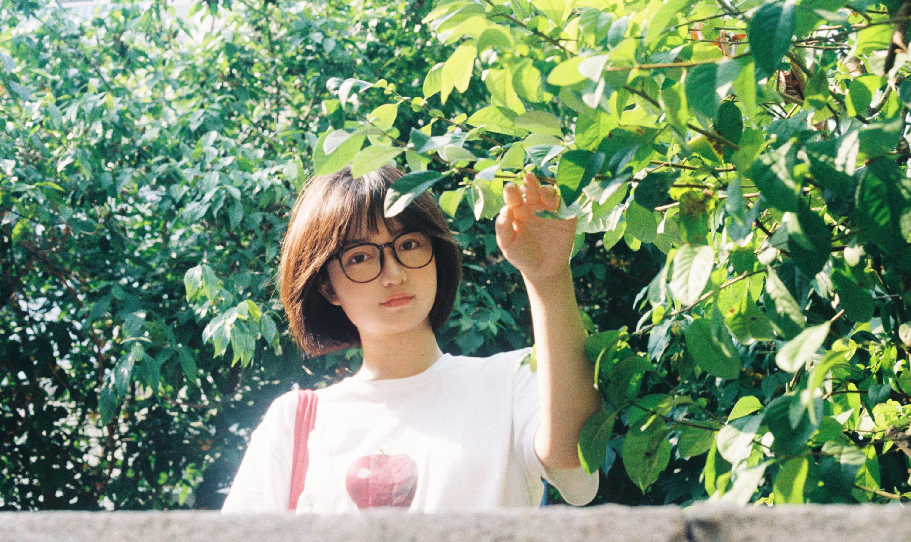 。 – 《青岛的夏》[14P] 插图2