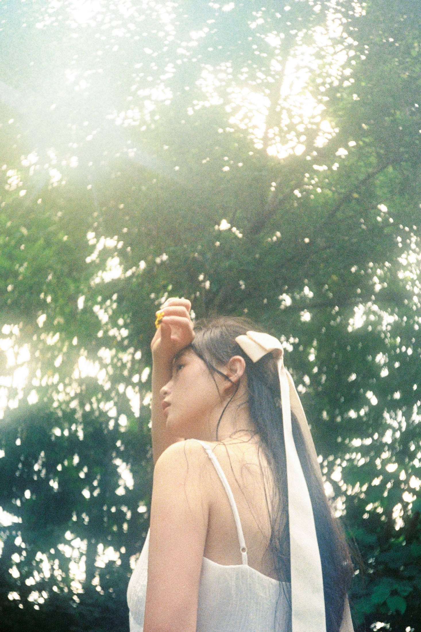 暴躁的小矮人： – 《树是另一种意义的海》[15P] 插图4