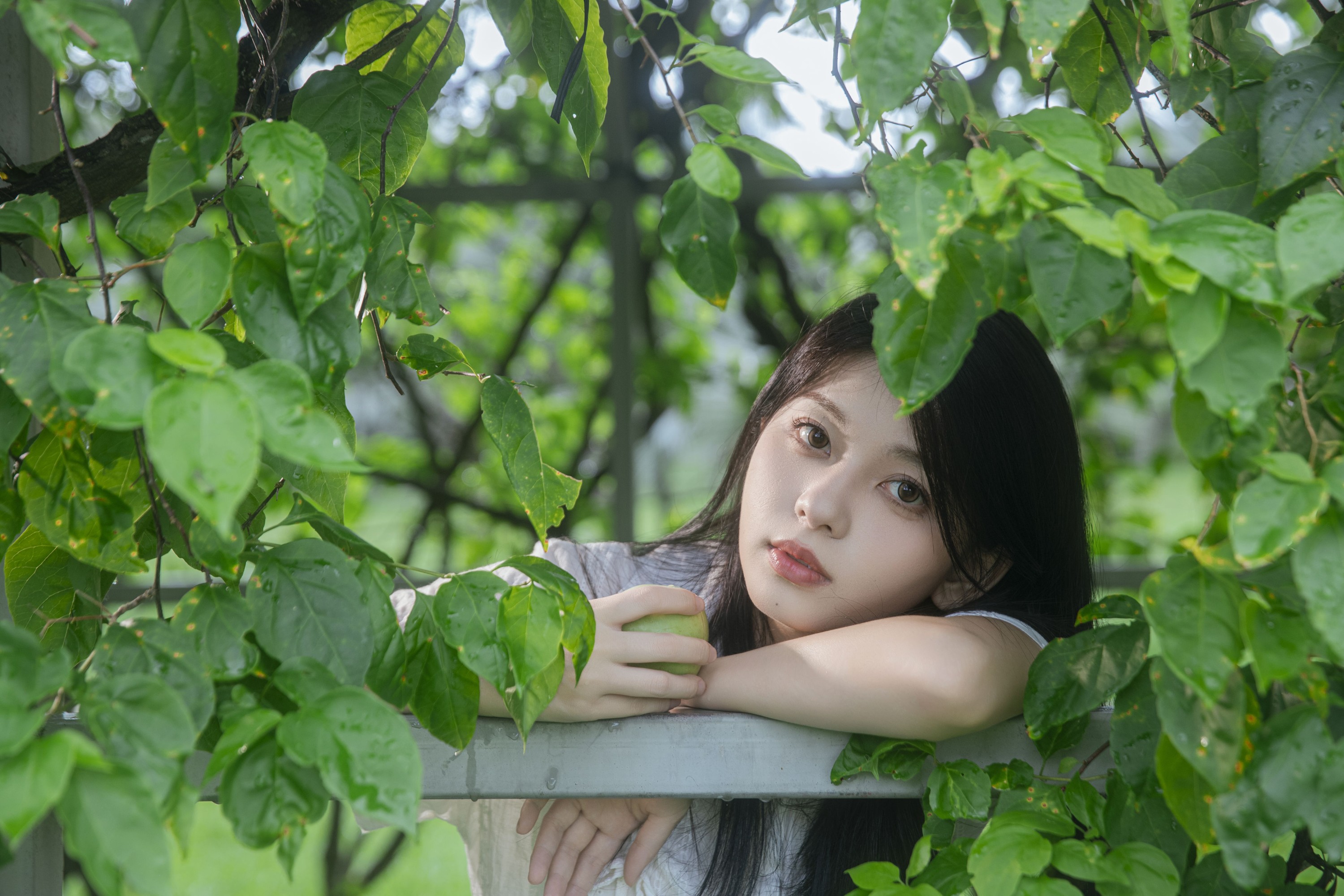 Cookie_ – 《青苹果》[26P] 插图2