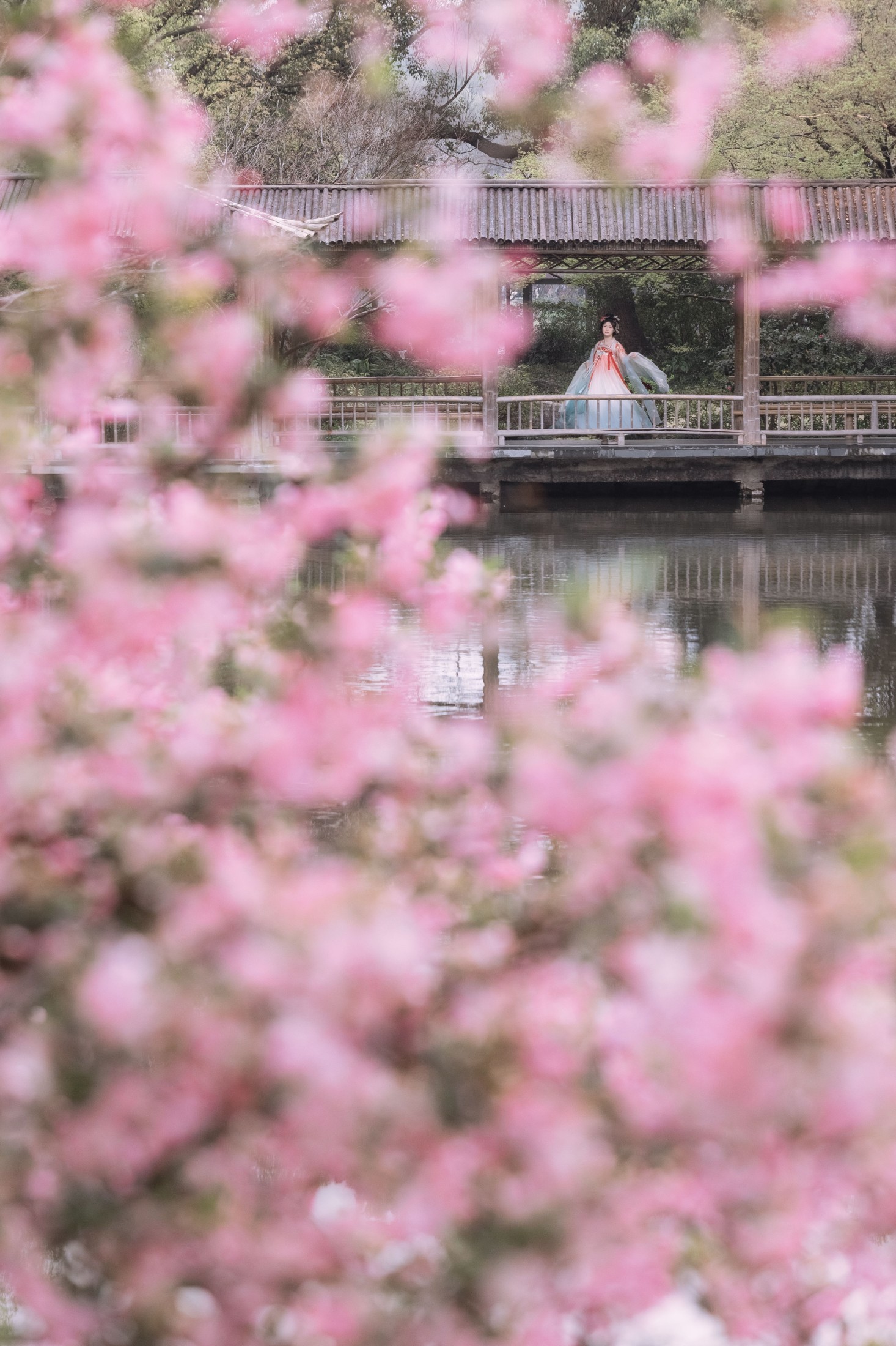 静若初夏 – 《海棠春色》[43P] 插图4