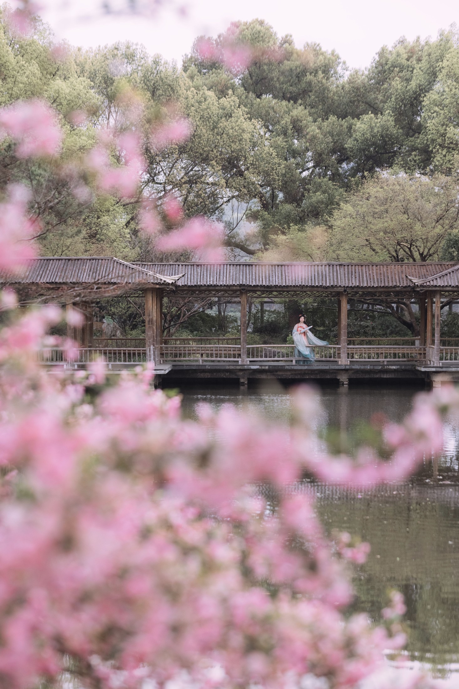 静若初夏 – 《海棠春色》[43P] 插图2