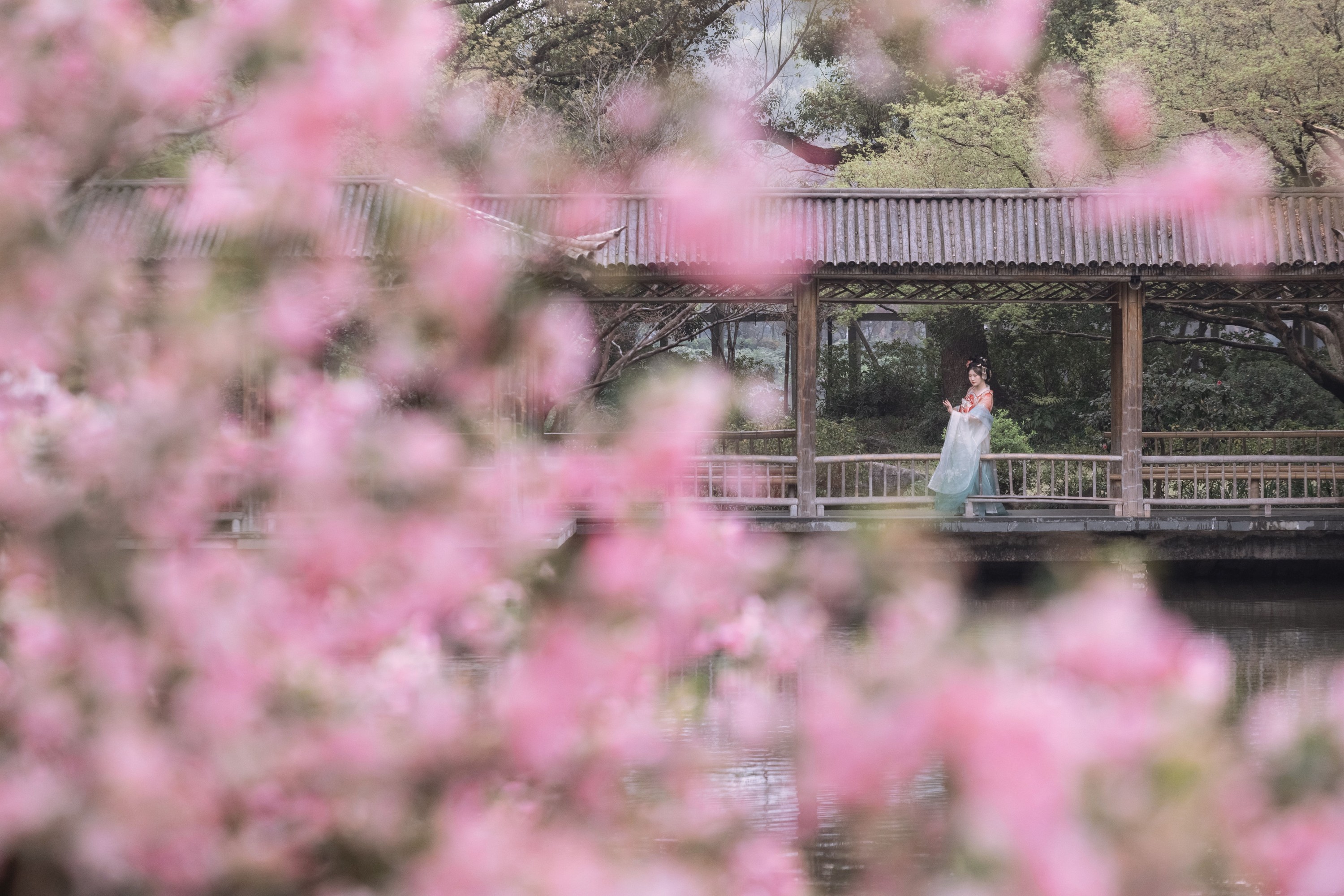 静若初夏 – 《海棠春色》[43P] 插图3