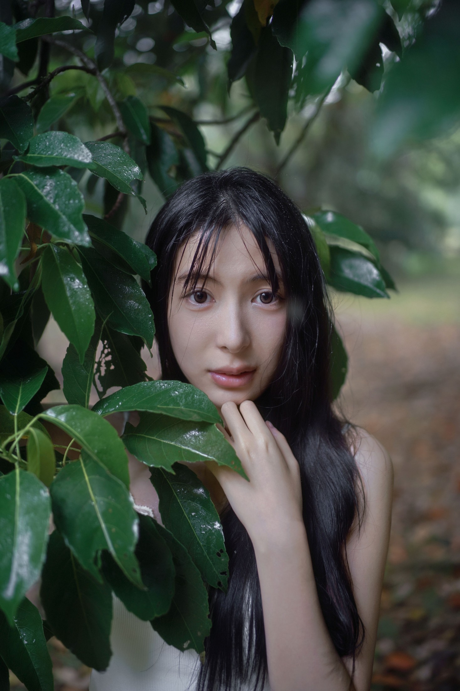 0831 – 《雨林微雨・少女的湿漉漉童话》[36P] 插图3