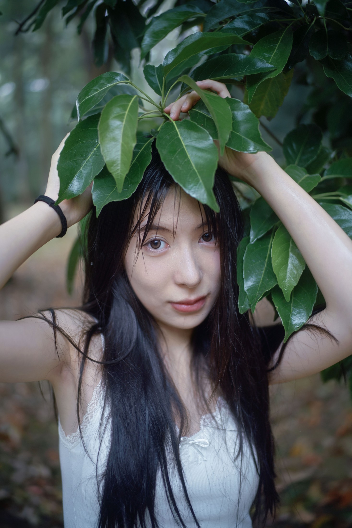 0831 – 《雨林微雨・少女的湿漉漉童话》[36P]-66COS