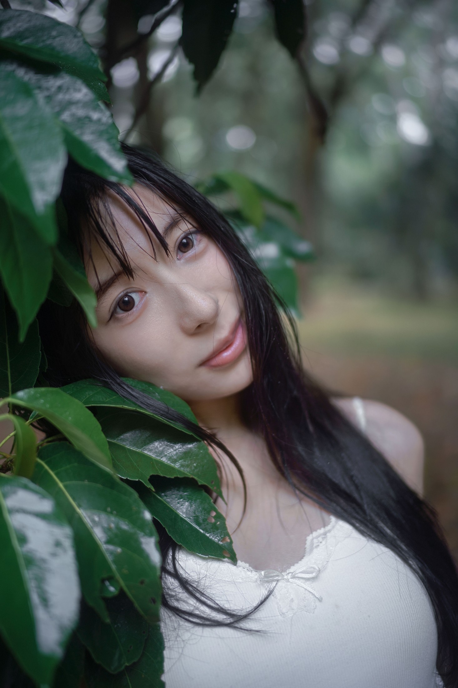 0831 – 《雨林微雨・少女的湿漉漉童话》[36P] 插图4