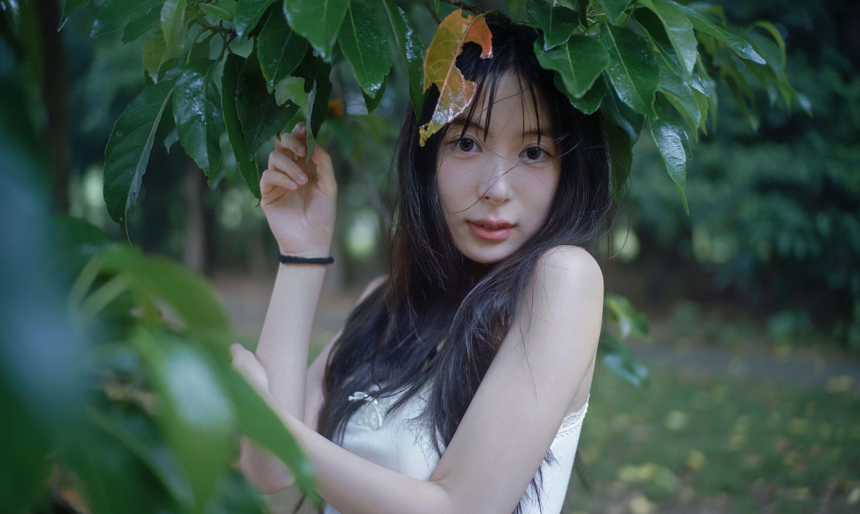 0831 – 《雨林微雨・少女的湿漉漉童话》[36P] 插图2