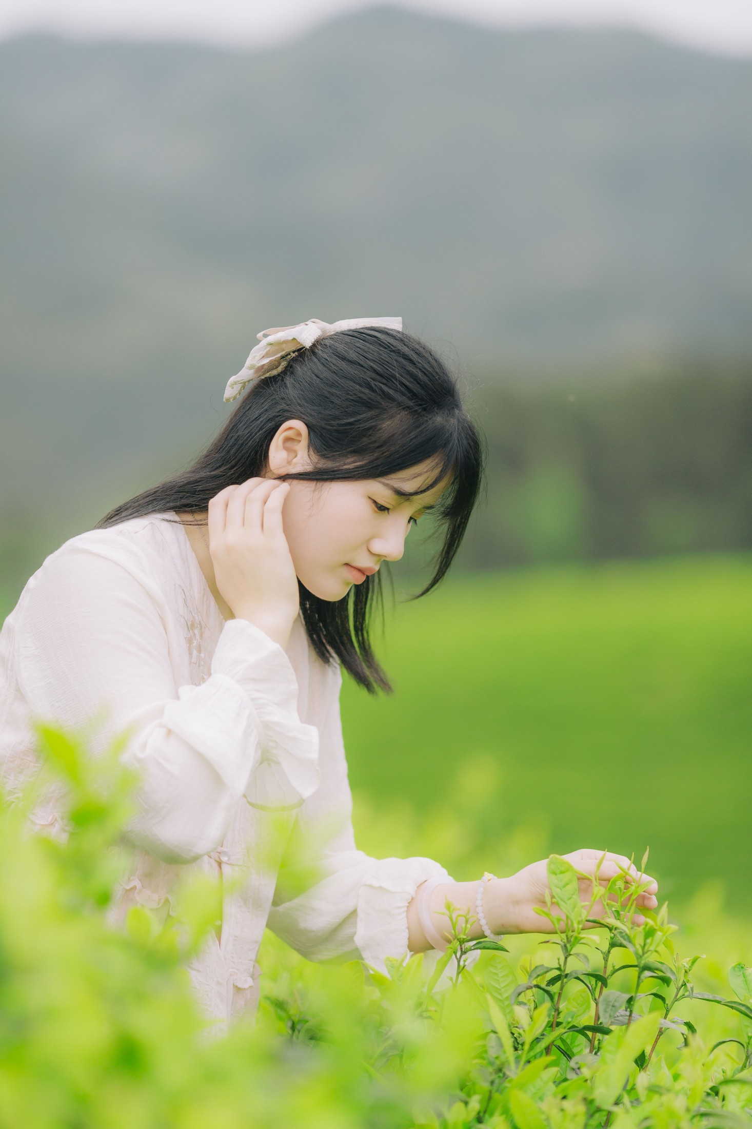 般若 – 《茶山行》[17P] 插图3